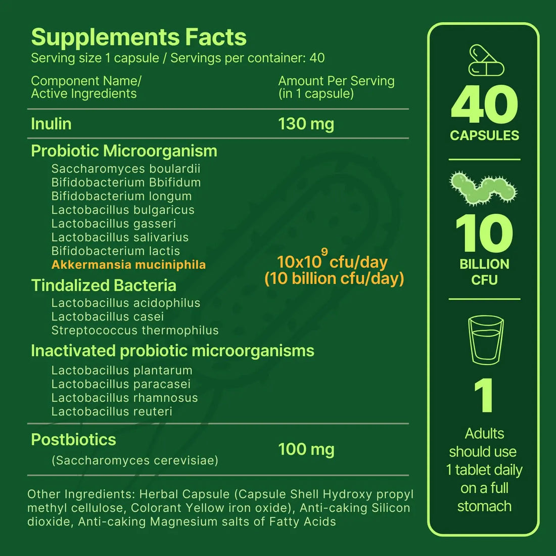 anocin Akkermansia Muciniphila + Probiotic, Postbiotic & Inulin - Gut Health Supplement for Digestion, Immune Support - 10 Billion CFU, Vegan & Gluten-Free anocin uk supplements