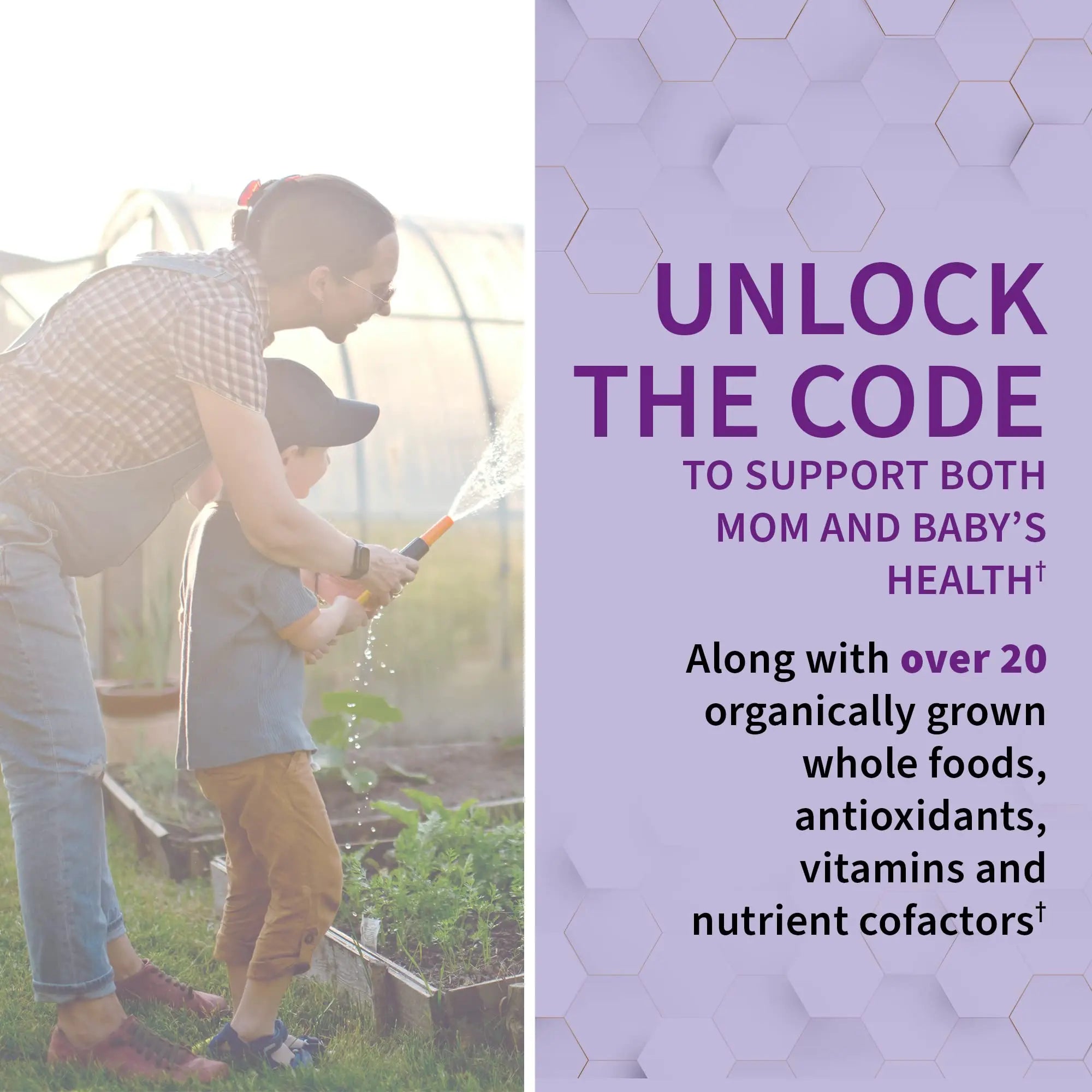 Garden of Life Prenatal Multivitamin for Women with Iron, Folate & Vitamin C and D3 for Neural Development & Probiotics for Immune Support Garden of Life Au supplements
