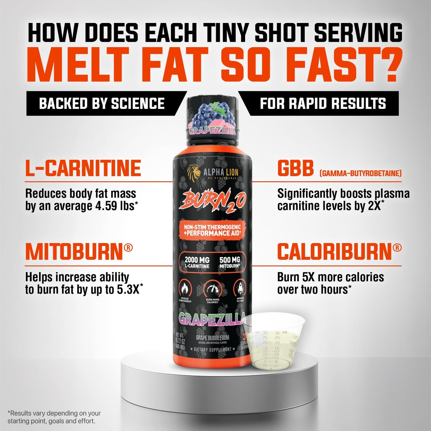ALPHA LION Burn2O L-Carnitine Liquid 2000mg – Stim Free Super Thermogenic Fat Burner with MitoBurn® & CaloriBurn GP®, Metabolism Booster, Zero Calorie ALPHA LIONUS supplements