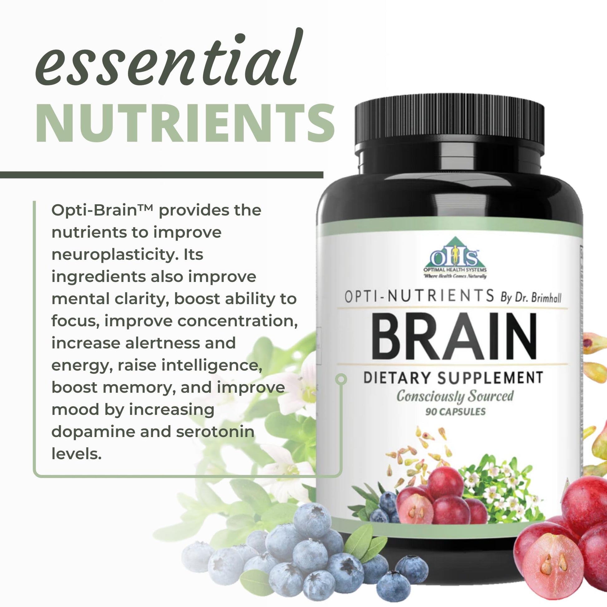 Optimal Health Systems Brain | Most Comprehensive Nootropic + Enzyme Delivery | 700 mg Scientific Neuroenhancment Blend | Boost Mood, Memory & Focus | 90 Capsules Optimal Health Systems Au supplements