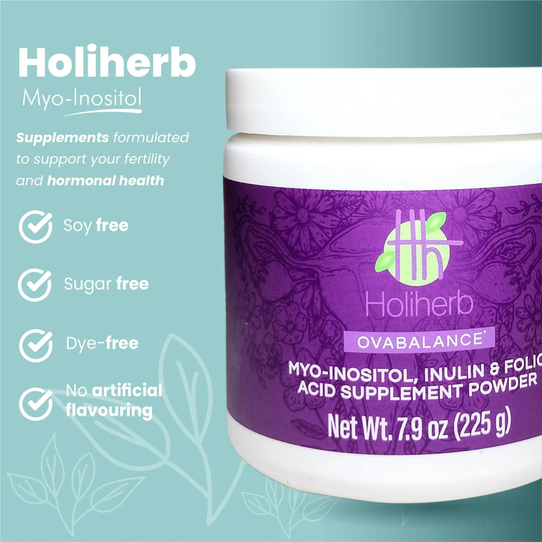 Holiherb 4g Myo Inositol + Folic Acid Holiherb uk supplements