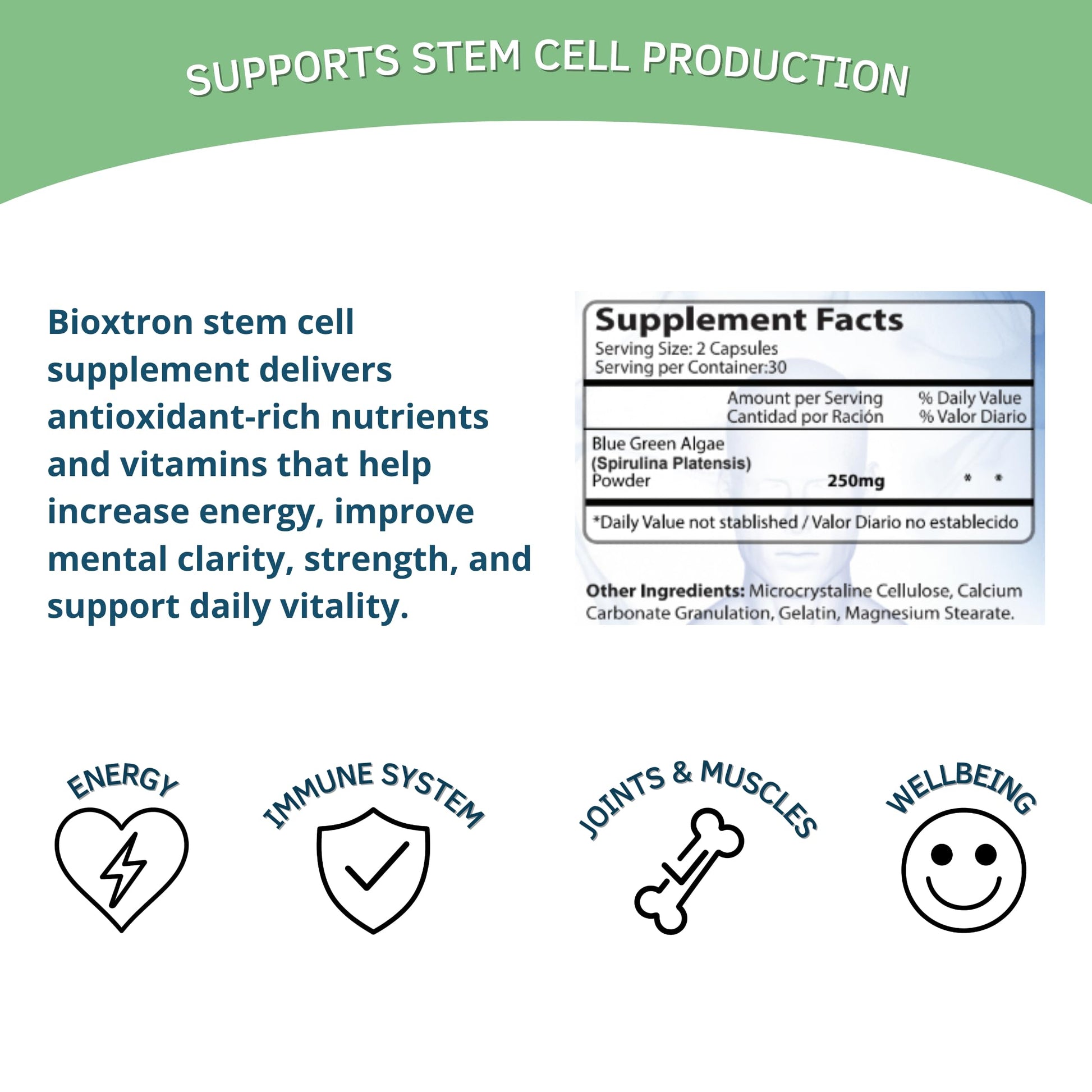 Bioxtron Natural AFA Stem Cell Supplement - Joint Support & Muscle Pain - Immune System Support - Support Energy Levels - Natural Blue Green Algae Spirulina - Pack of 2-120 Caps Bioxtron Au supplements