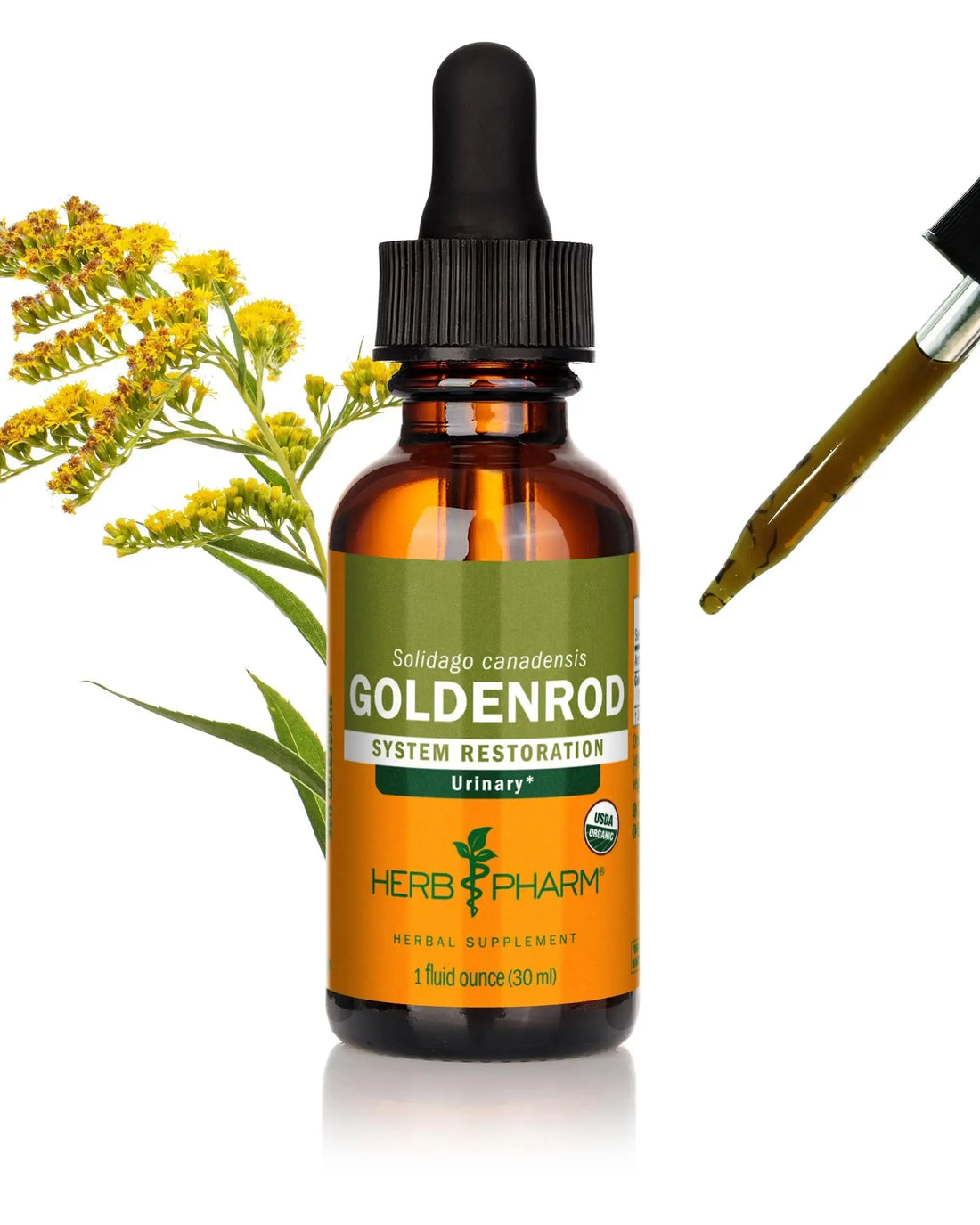 Herb Pharm Certified Organic Goldenrod Liquid Extract for Urinary System Support, 1 Fl Oz (Pack of 1) Herb Pharm uk supplements