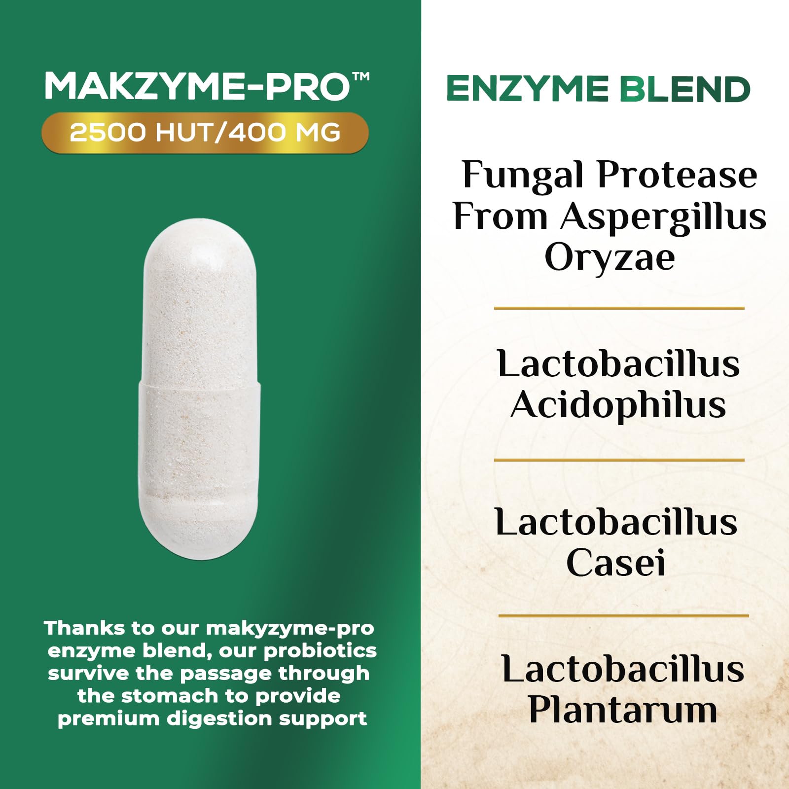 Digestive Enzymes - Super Digestive Multi Enzyme Complex for Bloating & Gut Health Support with Bromelain, Papain, Probiotics & Prebiotics - Digestion Health Support for Women & Men - 120 Capsules Nature's Nutrition Au supplements