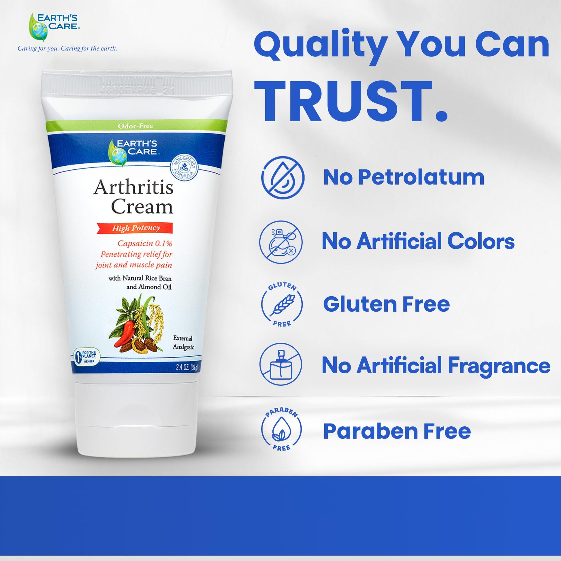 Earth's Care Arthritis Cream - Joint Cream with Natural Capsaicin - Topical Analgesic 2.4 OZ (Pack of 2) Earth's Care Au supplements