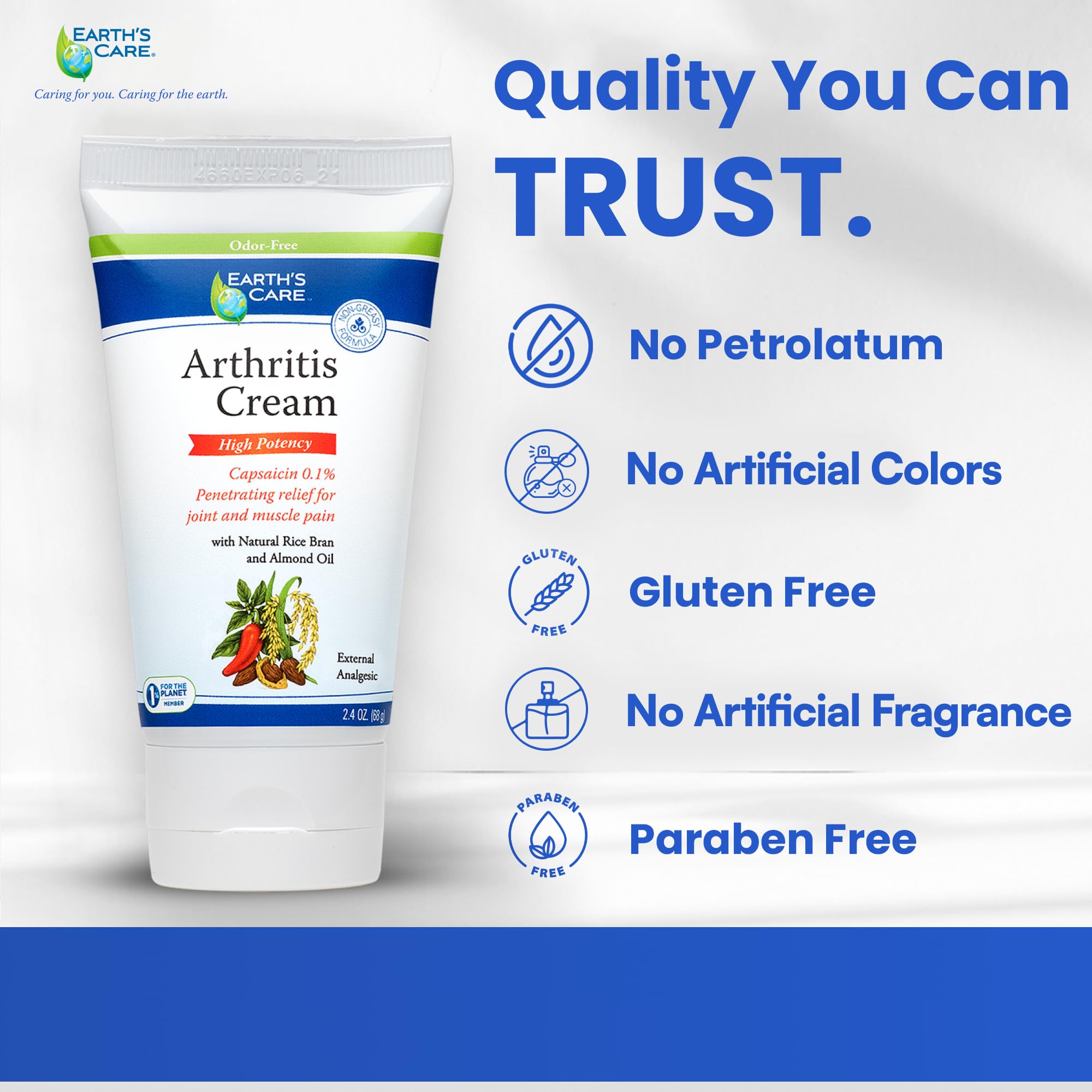 Earth's Care Arthritis Cream - Joint Cream with Natural Capsaicin - Topical Analgesic 2.4 OZ (Pack of 2) Earth's Care Au supplements