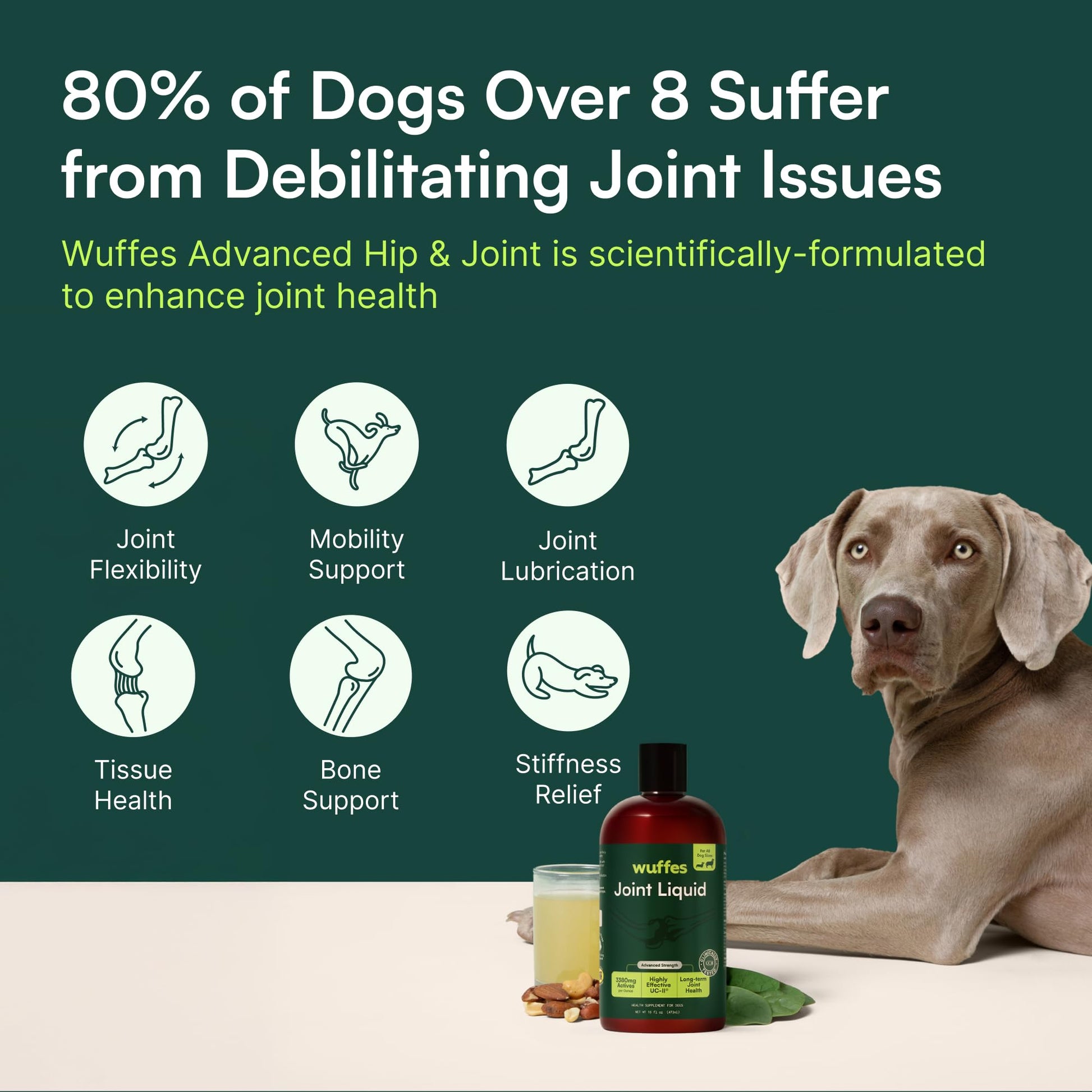 Wuffes Advanced Joint Liquid for Dogs, Hip & Joint Support Supplement with Glucosamine, Chondroitin, UC-II® Collagen, and MSM, for Small & Large Breeds, 16 Oz Wuffes Au supplements