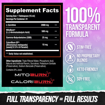 ALPHA LION Burn2O L-Carnitine Liquid 2000mg – Stim Free Super Thermogenic Fat Burner with MitoBurn® & CaloriBurn GP®, Metabolism Booster, Zero Calorie ALPHA LIONUS supplements