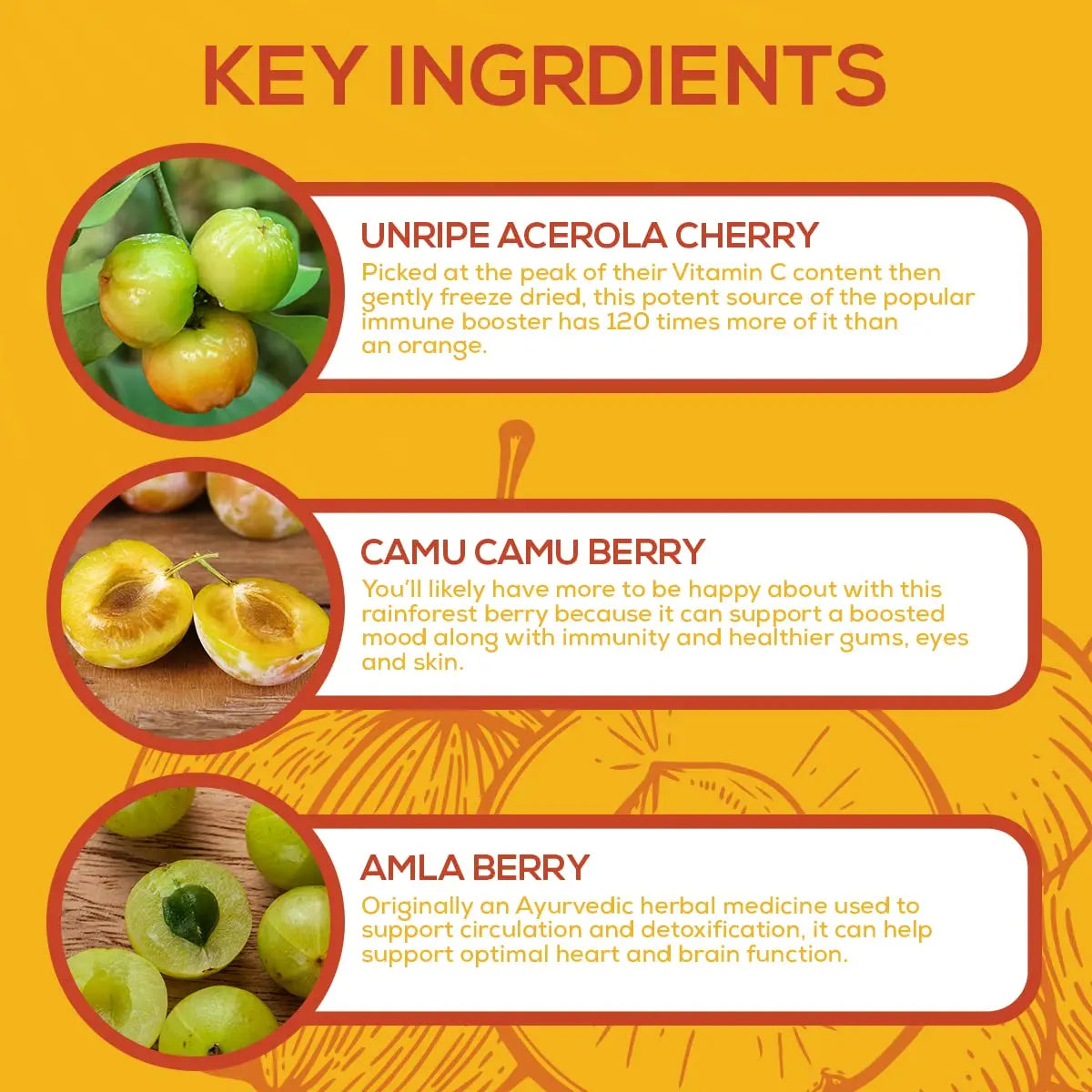 Paleovalley Essential C Complex - Vitamin C Supplement for Immune Support - 1 Pack, 450mg - Organic Superfoods Unripe Acerola Cherry, Camu Camu, Amla Berry - No Synthetic Ascorbic Acid - USA Made Paleovalley Au supplements