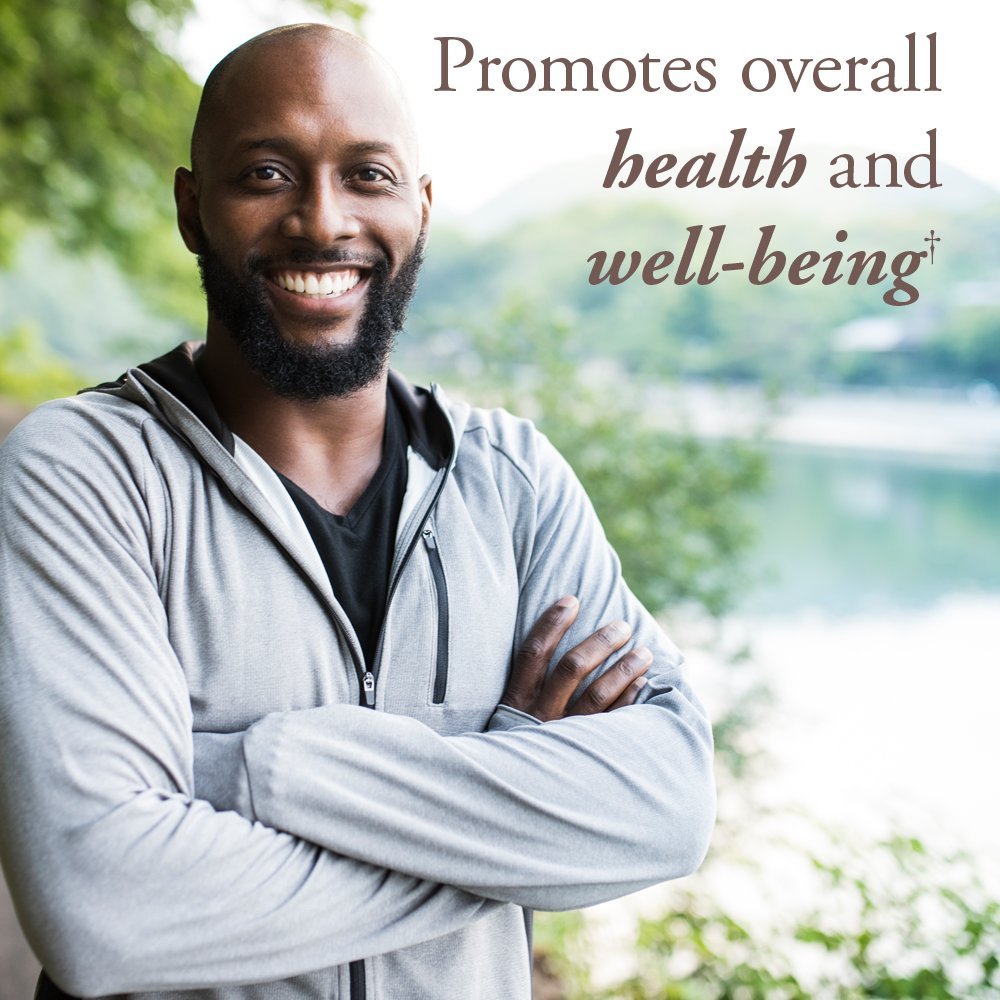 Garden of Life Organics Whole Food Multivitamin for Men 40+ 120 Tablets, Vegan Mens Multi for Health Garden of Life Au supplements