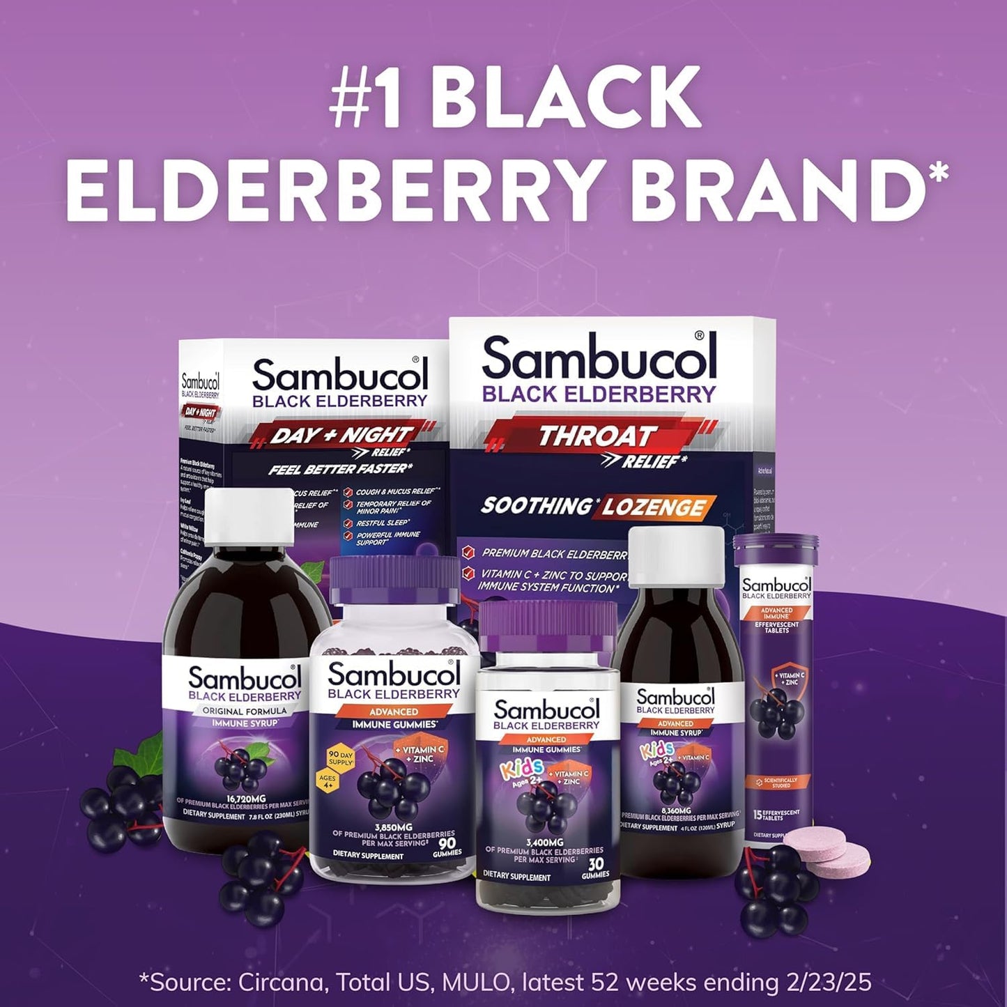 Sambucol Black Elderberry Syrup - Black Elderberry Liquid, Immune Support for Kids and Adults, High Antioxidants, Gluten Free SambucolUS supplements