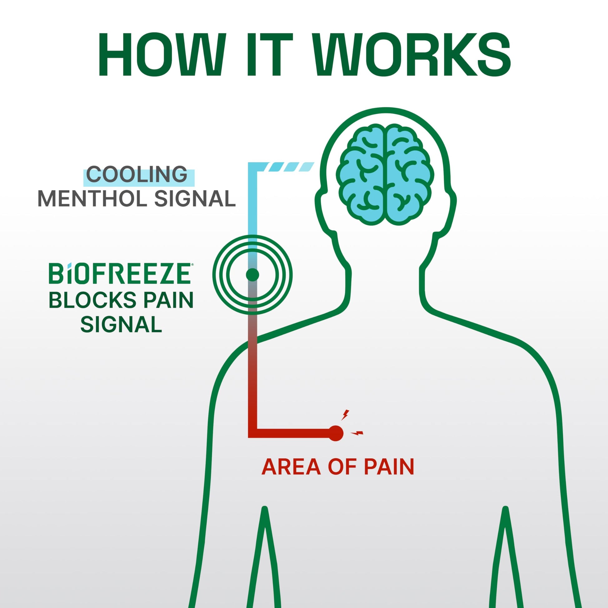 Biofreeze Professional Pain Relief Roll On, Knee & Lower Back Pain Relief, Arthritis Pain Reliever, Neck Pain Relief, Cooling Joint Pain Relief, Roll-On Menthol Gel 3 Fl Oz (Pack of 2) Biofreeze Au supplements