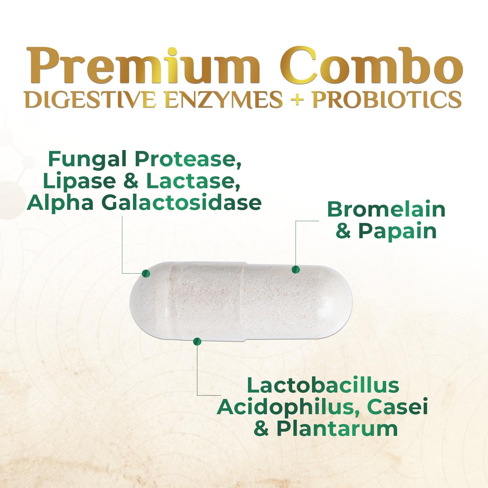 Digestive Enzymes - Super Digestive Multi Enzyme Complex for Bloating & Gut Health Support with Bromelain, Papain, Probiotics & Prebiotics - Digestion Health Support for Women & Men - 120 Capsules Nature's Nutrition Au supplements