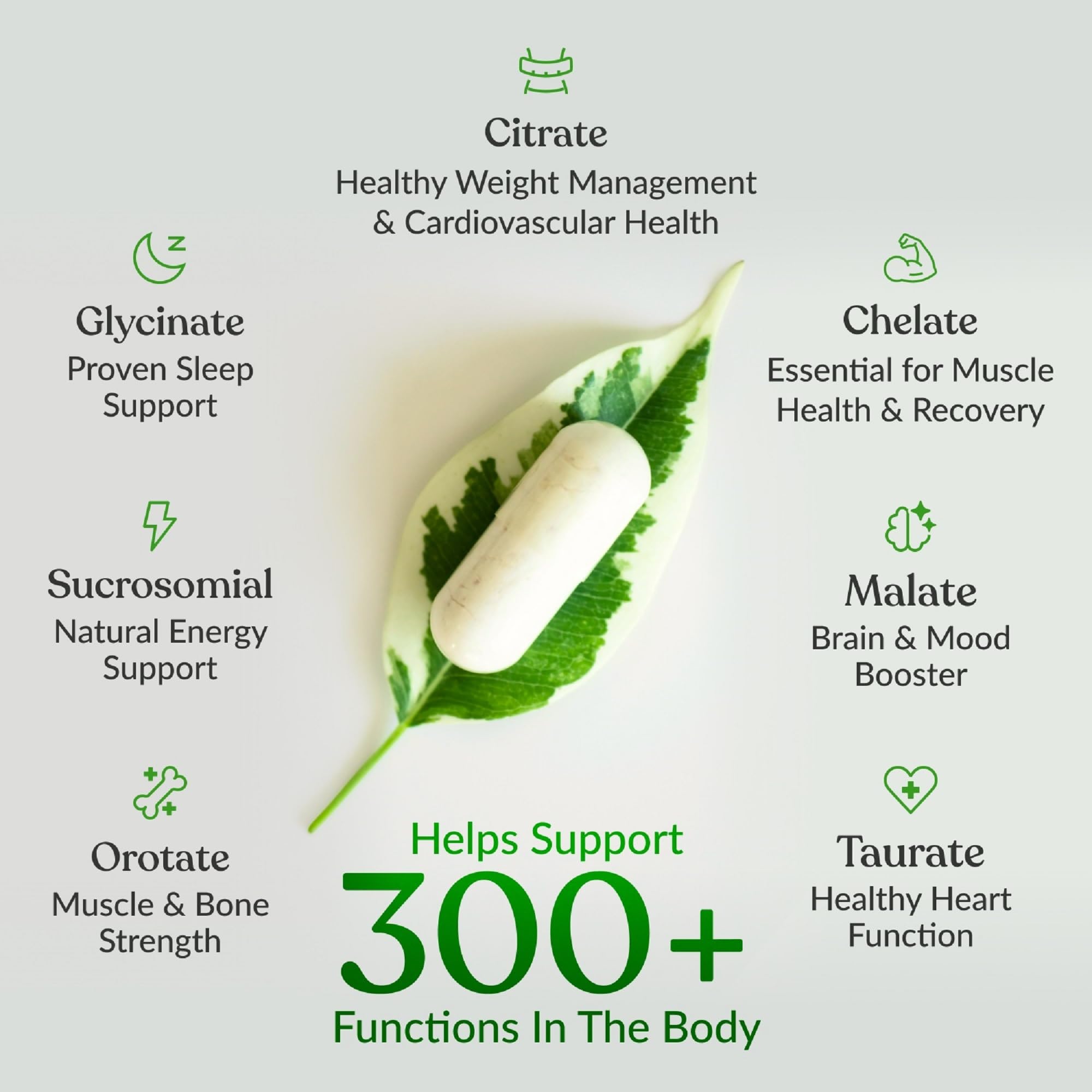 BIOptimizers Magnesium Breakthrough Supplement with 500mg - 7 Forms of Magnesium: Glycinate, Malate, Citrate, and More - Natural Support for Sleep and Cognitive Function -90 Capsules- Calming Vitamins BIOptimizers Au supplements