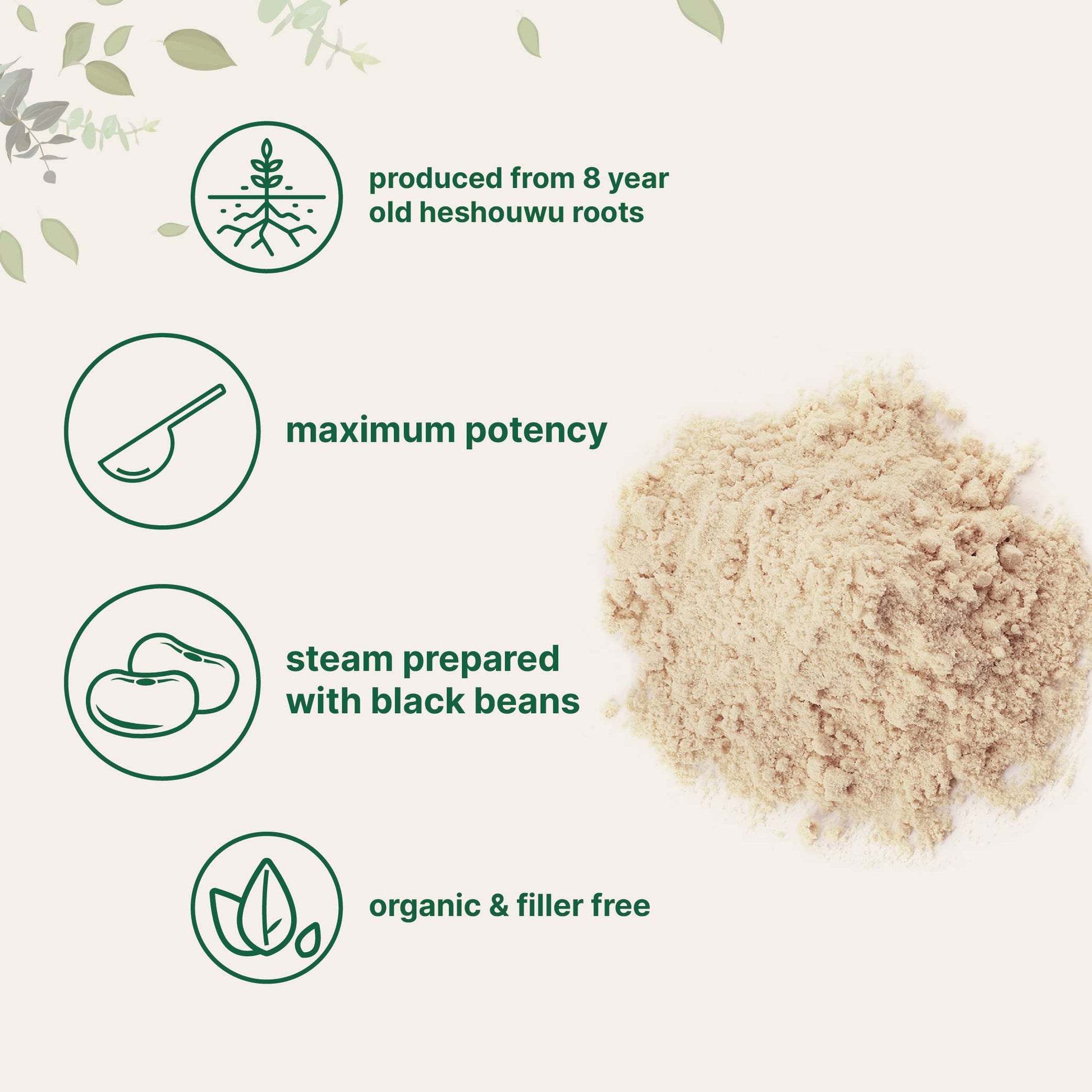Organic He Shou Wu, Pure Fo Ti Extract Powder, 6 Ounce, Prepared Foti Steaming Micro Ingredients Au supplements