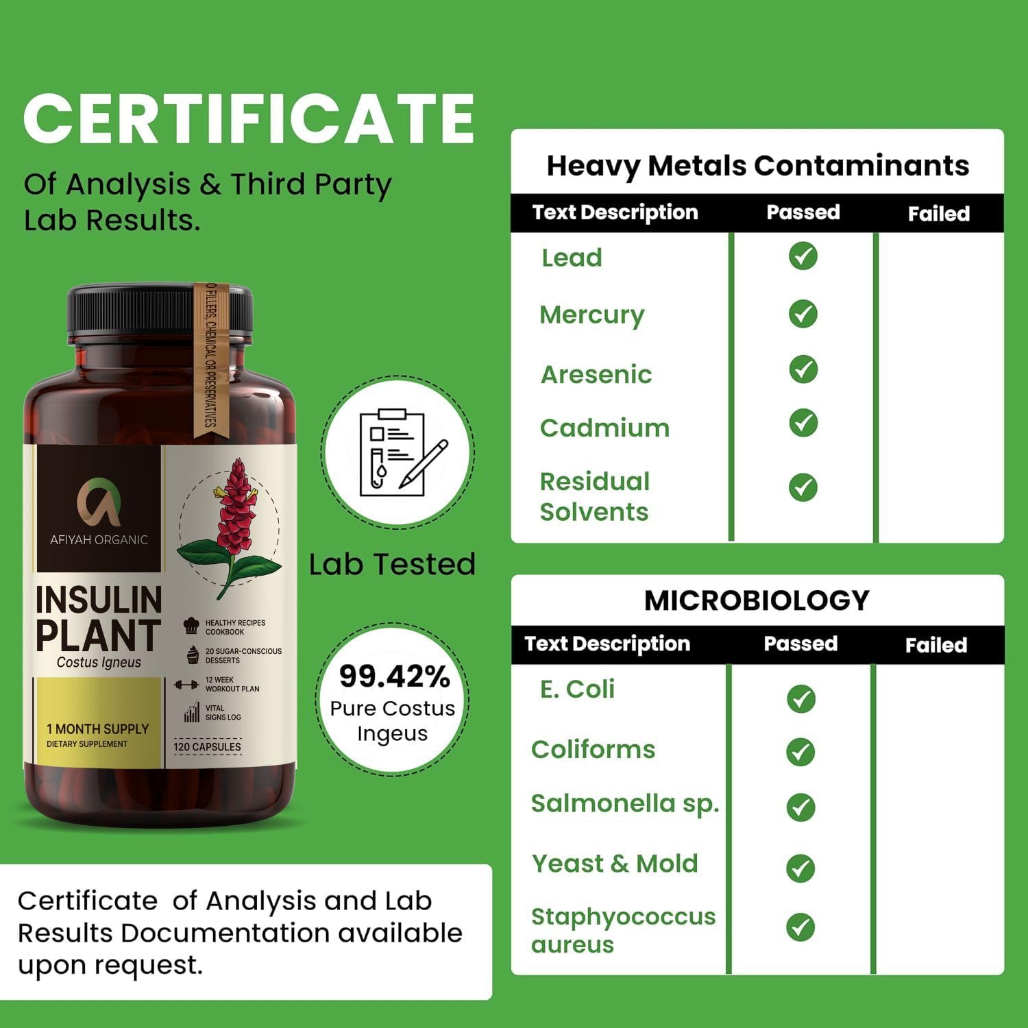 Afiyah Organic - Premium Quality Costus Igneus (Insulin Plant) Capsules - Easy to Swallow 120 Veggie Capsules (1 Month Supply) - Made in the USA - Including Complete Health Support Program Afiyah Organic Au supplements