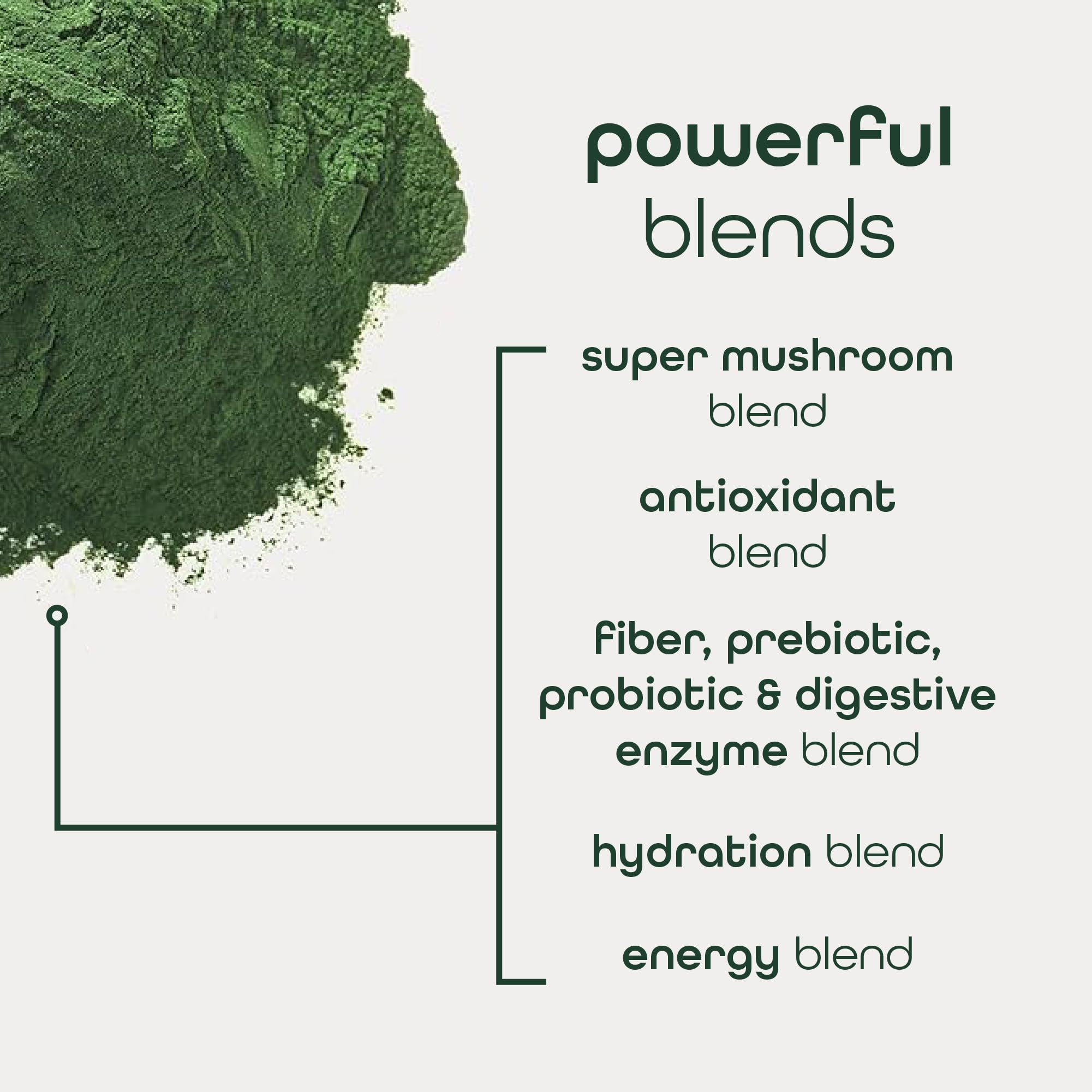 Zena Nutrition Organic Super Greens Energy & Hydration Powder, 70+ Superfoods, 0 Sugar, 5G Fiber, Spirulina, Chlorella, Prebiotics/Probiotics, Natural Caffeine + Electrolytes, 40 Drink Mix Packets Zena Nutrition Au supplements