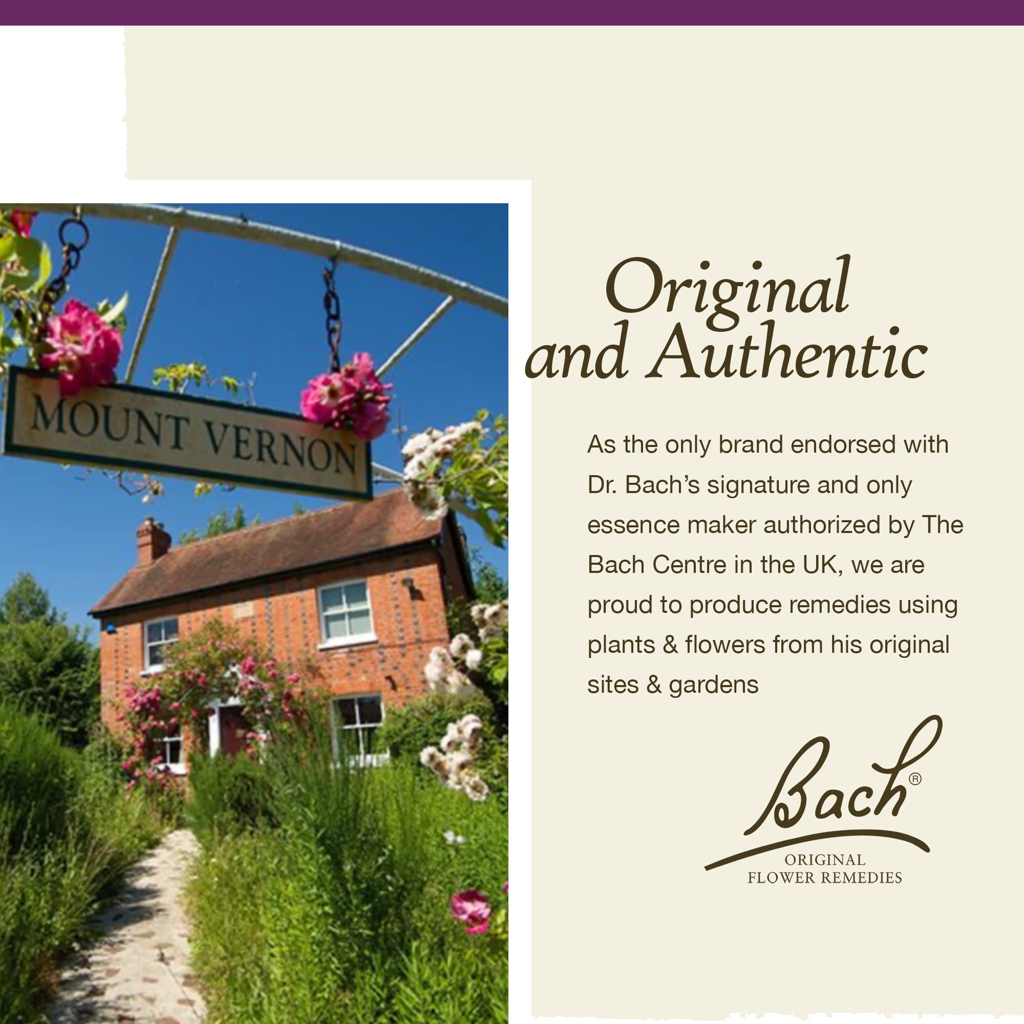 Bach Original Flower Remedies, Impatiens for Patience (Non-Alcohol Formula), Natural Homeopathic Bach Au supplements