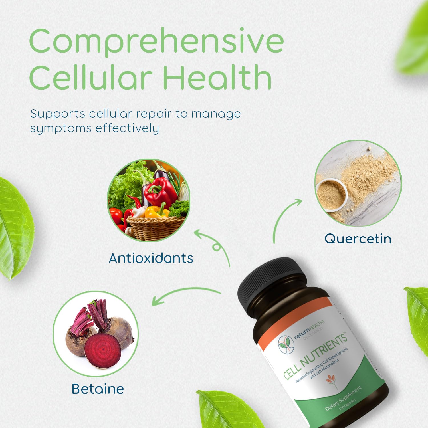 Return Healthy Cell Nutrients | Promotes Cell and Membrane Repair & Cell Metabolism | Helps Fight Tick-Borne Infections & More | Mitochondrial Supplements | Non-GMO, Vegan, 120 caps Return Healthy Au supplements