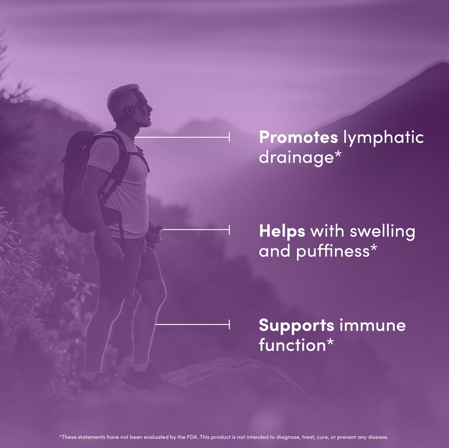 Lymph Peak - Lymphatic Drainage Supplements - Lymph System Support - with Burdock Root, Echinacea Extract, Bromelain, Dandelion Extract & More - Vegan, Non GMO, Gluten Free - 60 Capsules Vital Peak buy supplements Au