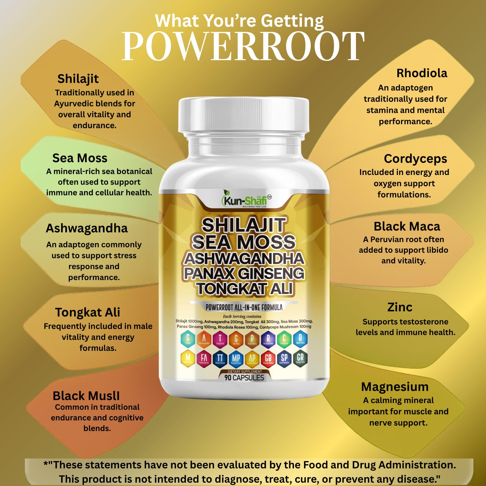 Kun Shafi Shilajit Complex – Sea Moss, Tongkat Ali, Ashwagandha, Ginseng, Zinc, CoQ10, PQQ & Magnesium – Fulvic Acid Capsules for Energy, Vitality & Performance with Panax Cordyceps – 90 Capsules Kun Shafi Au supplements