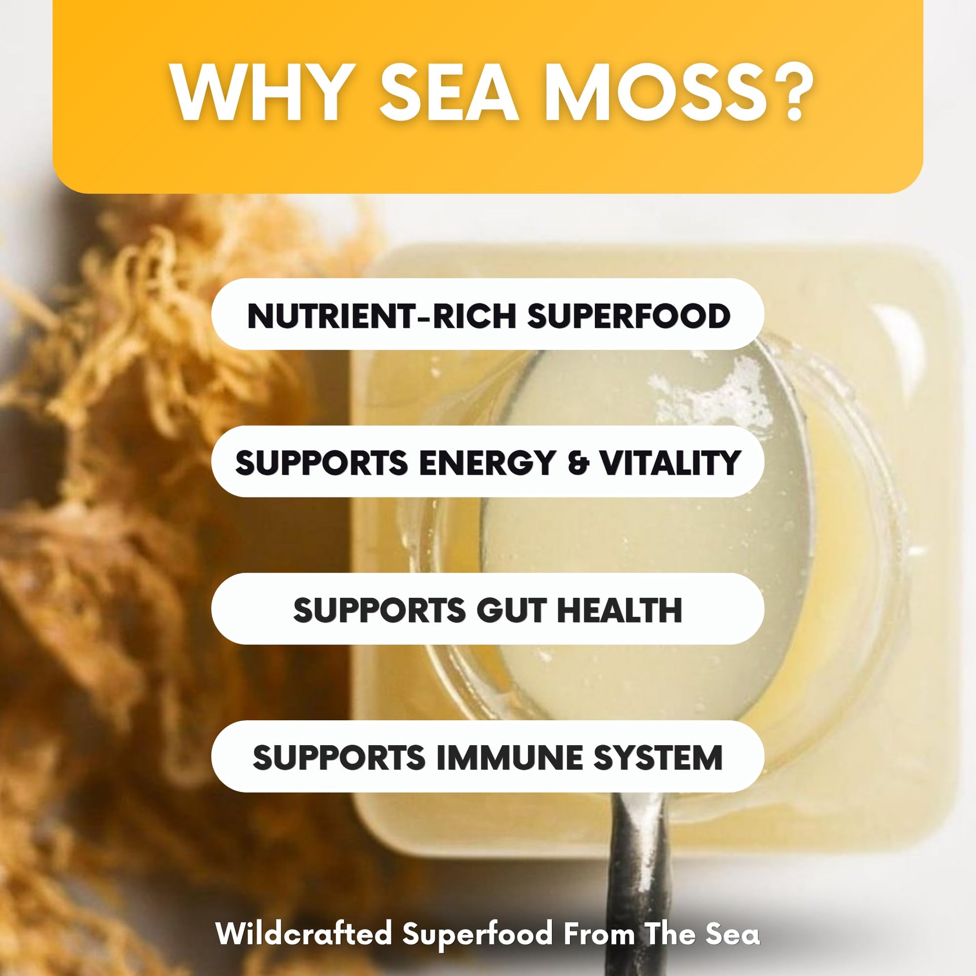 Joy Sea Moss Wildcrafted Irish Sea Moss Gel 16 oz | Made in USA | Gold Seamoss Superfood | Rich in Vitamins & Minerals | Real Fruit | Nutritional Supplement | Mango Joy Sea Moss Au supplements