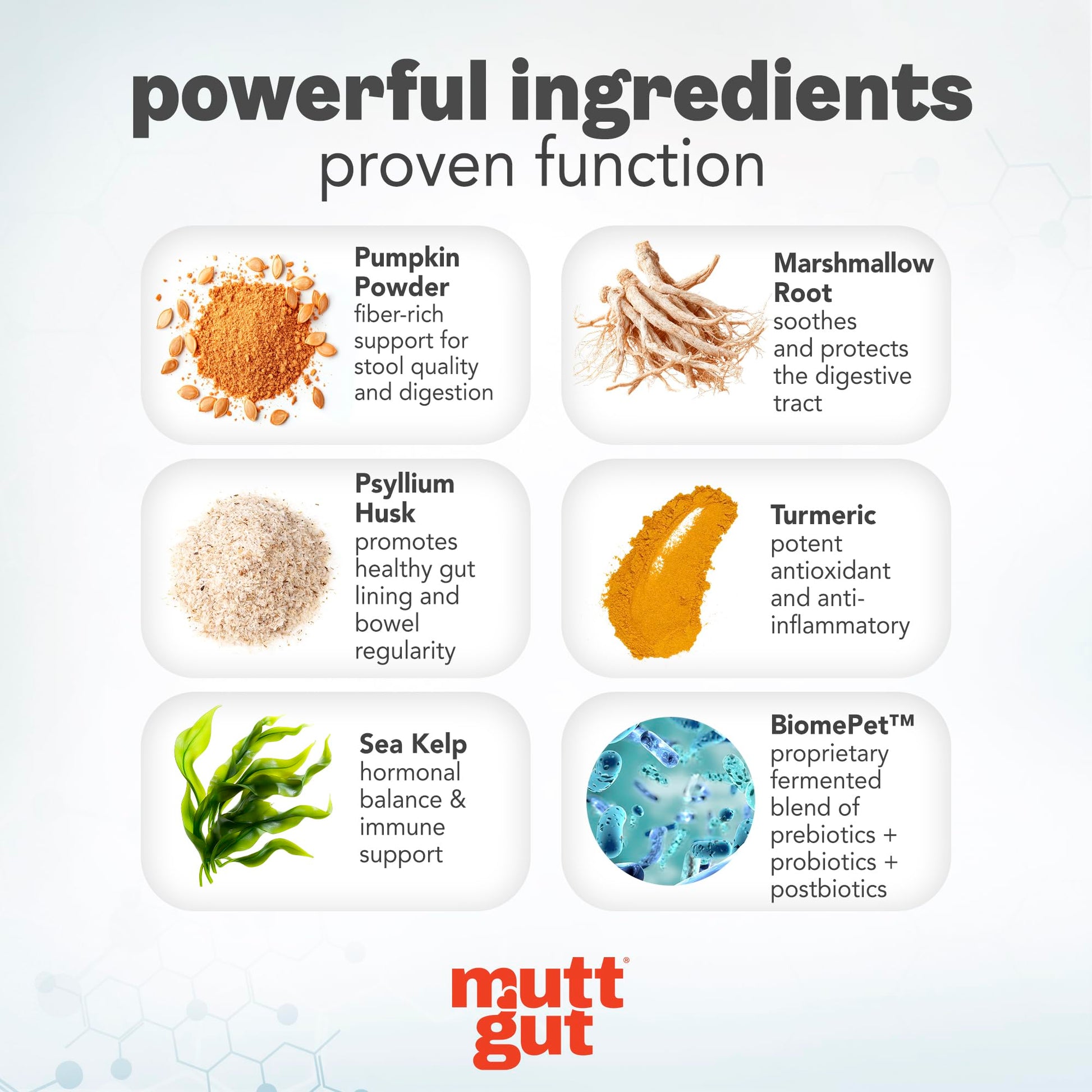 MuttGut® 3-in-1 Puppy & Dog Probiotics + Prebiotics + Postbiotics Chews - Promotes Digestive Health, Supports Immune System and Overall Health - Dog Diarrhea Relief & Immune Support - 60 Soft Chews MUTTGUT Au supplements