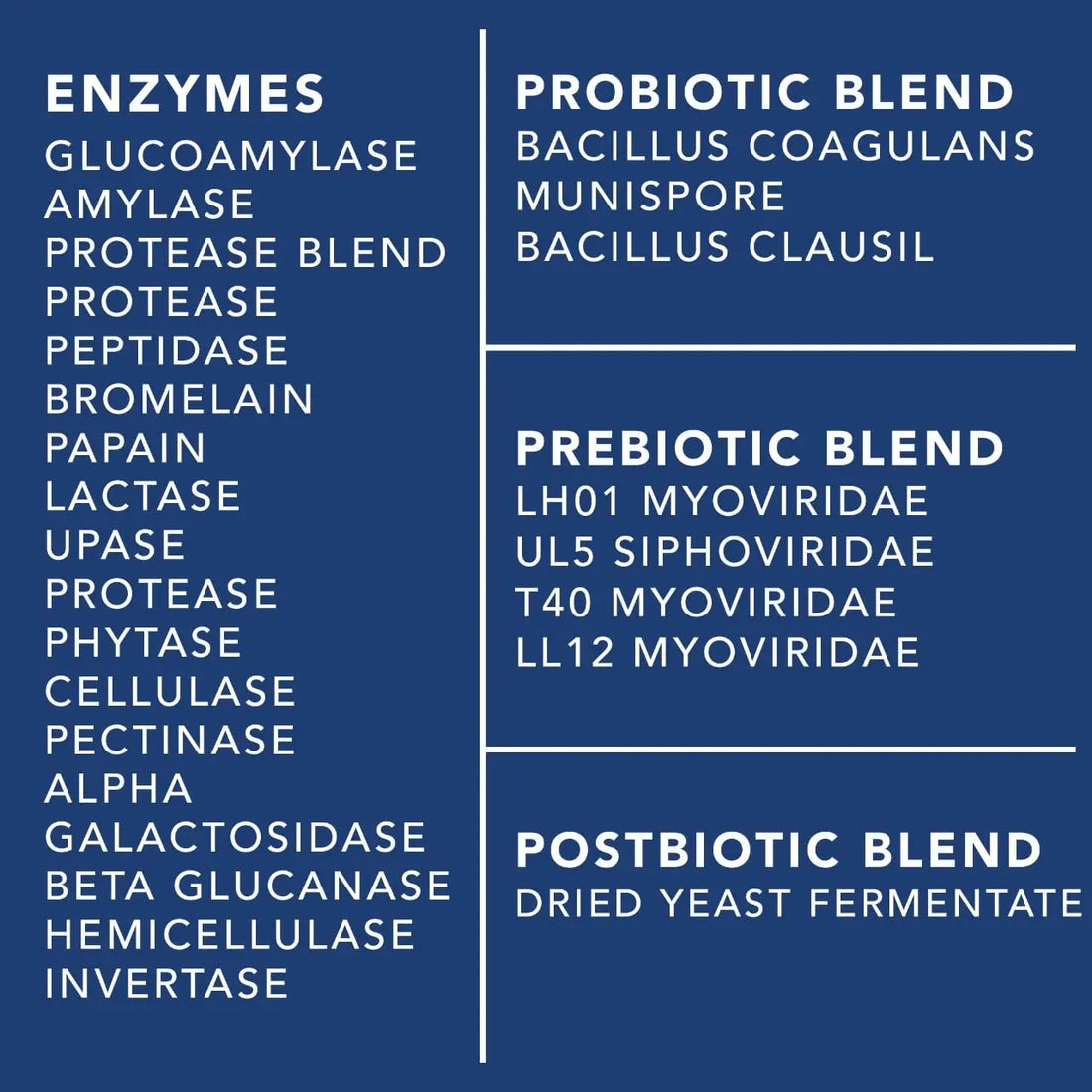 4-in-1 Prebiotic Probiotic & Postbiotic for Women & Men, Complete Gut & Digestive Support Supplement, Pre Post Probiotics & Digestive Enzymes 60 Capsules PLANT.O NUTRITION uk supplements