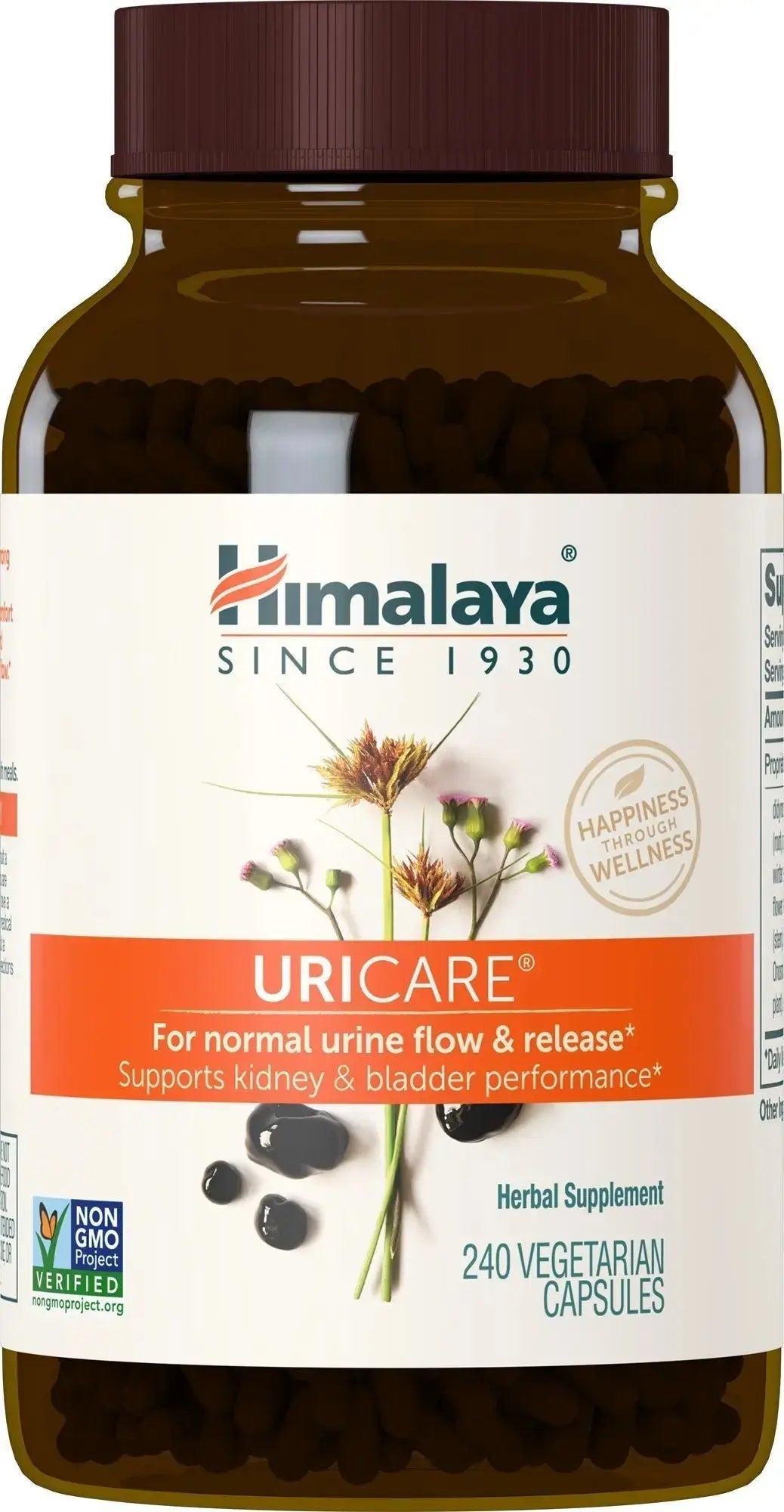 Himalaya UriCare Herbal Supplement, Kidney & Bladder Support, Urinary Tract & Urine Flow Support, Caffeine Free, Non-GMO, Gluten Free, Vegetarian, 240 Capsules, 60 Day Supply Himalaya uk supplements