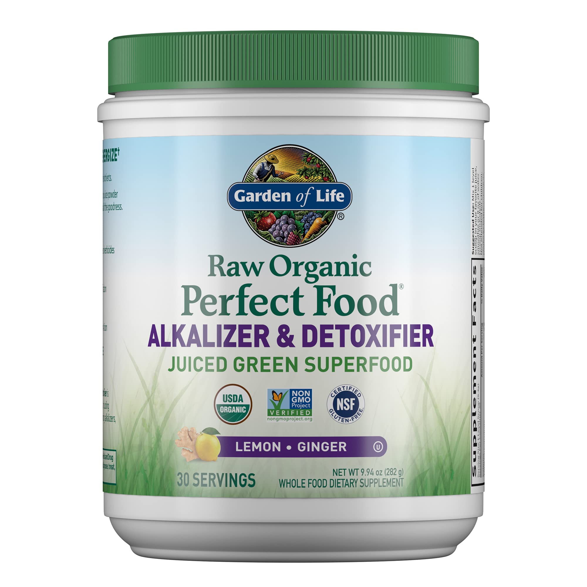 Garden of Life Raw Organic Perfect Food Alkalizer & Detoxifier Juiced Greens Superfood Garden of Life Au supplements
