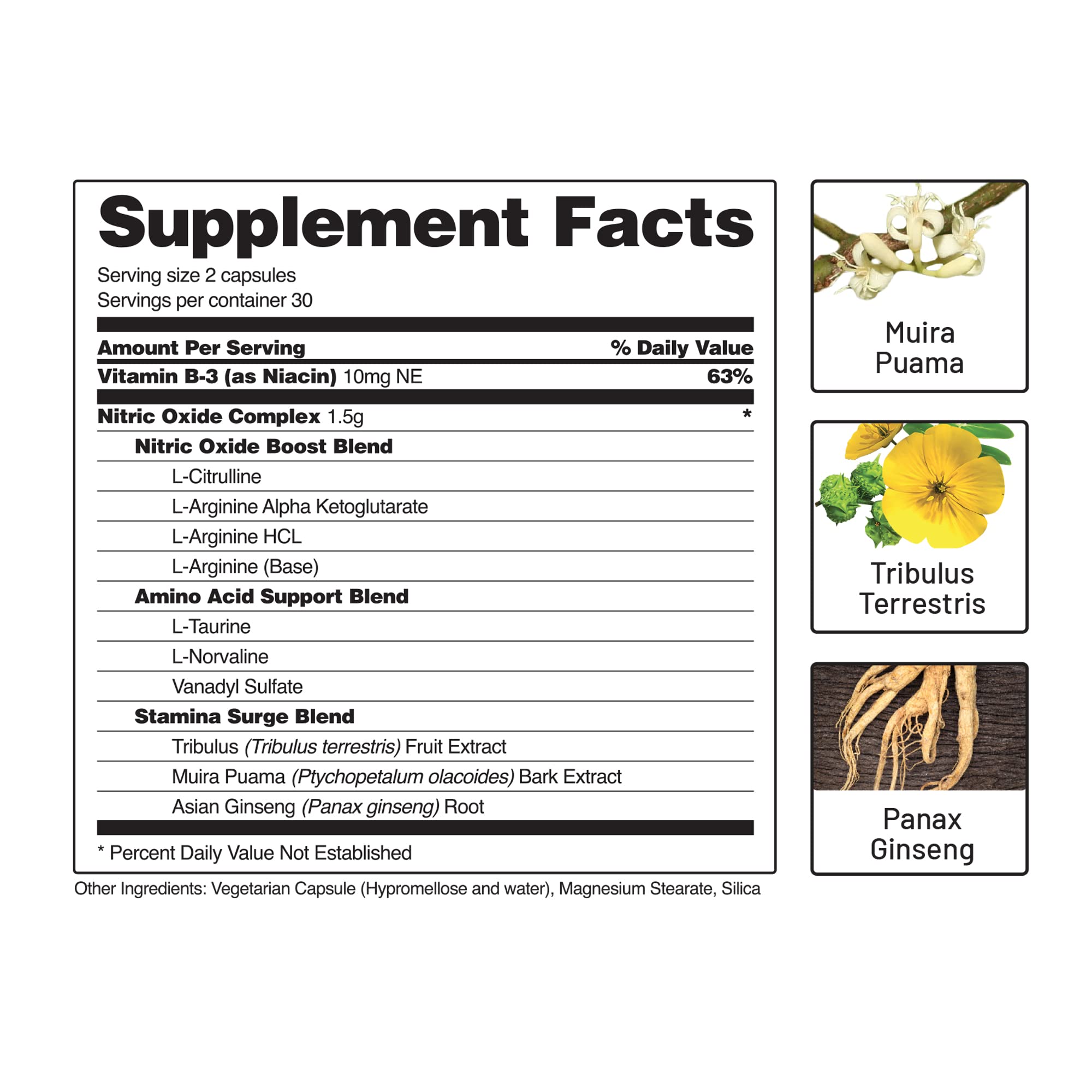 Snap Supplements Nitric Oxide Booster and BCAA Powder Snap Supplements Au supplements