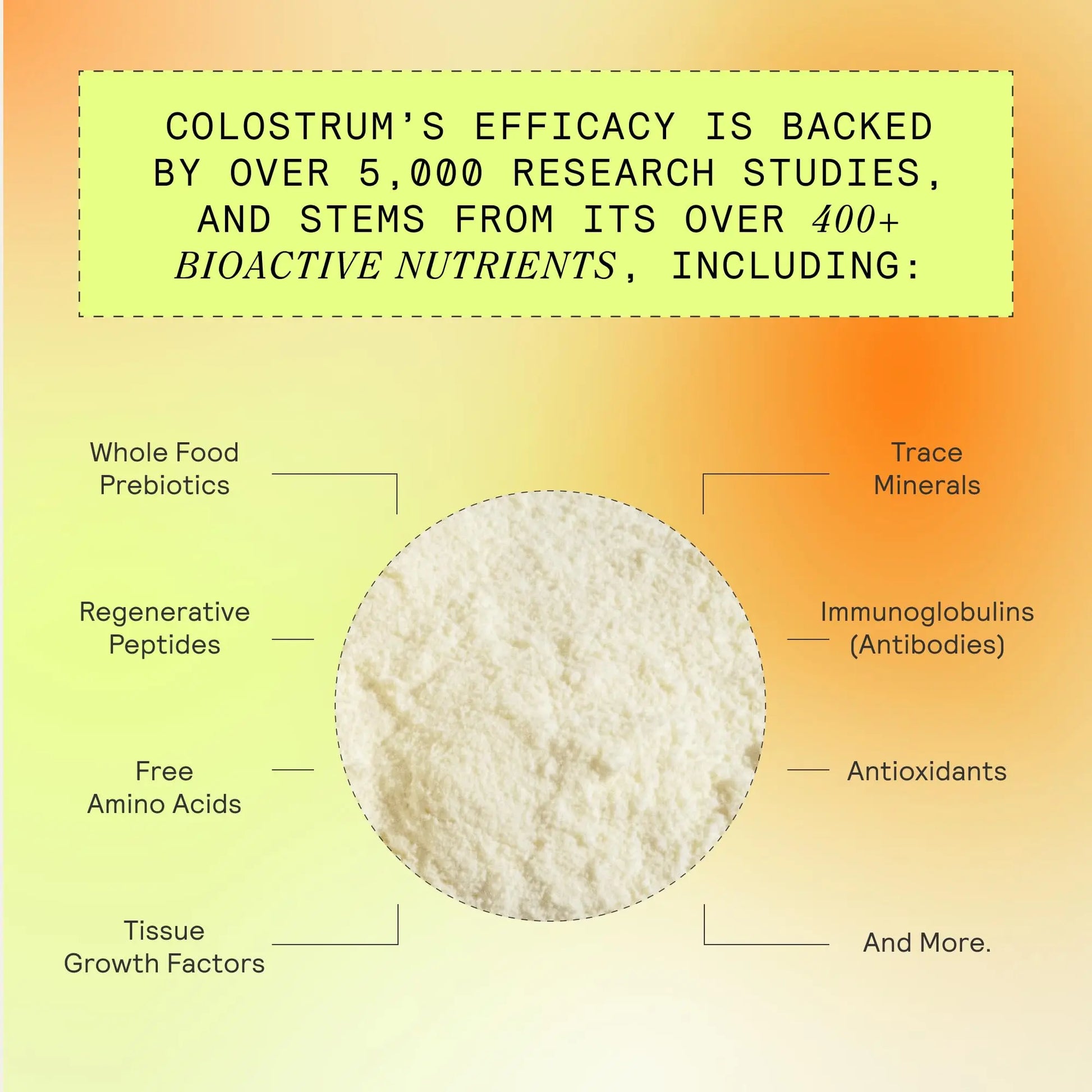 ARMRA Colostrum™ Powder | Blood Orange | Gut Health & Bloating | Skin & Hair | Immunity | Keto, Gluten & Fat-Free | 30 Servings ARMRA Au supplements