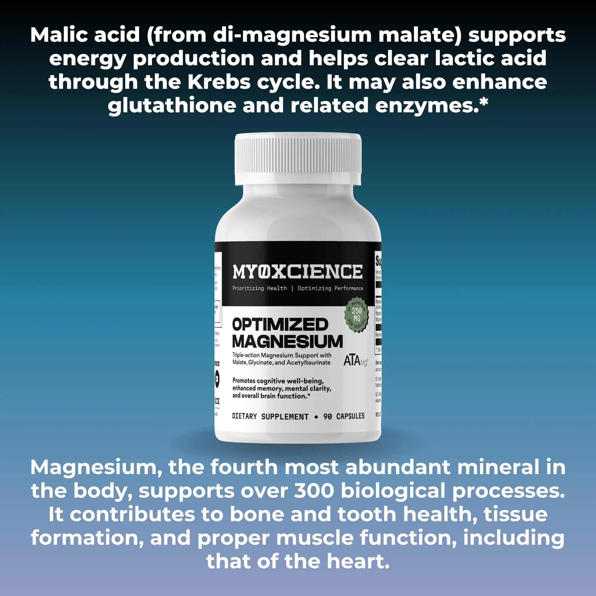 MYOXCIENCE Optimized Magnesium Glycinate + Magnesium Taurate (as ATAmag®) for High Brain Bioavailability to Support Stress Relief and Sleep | 30 Servings MYOXCIENCE Au supplements