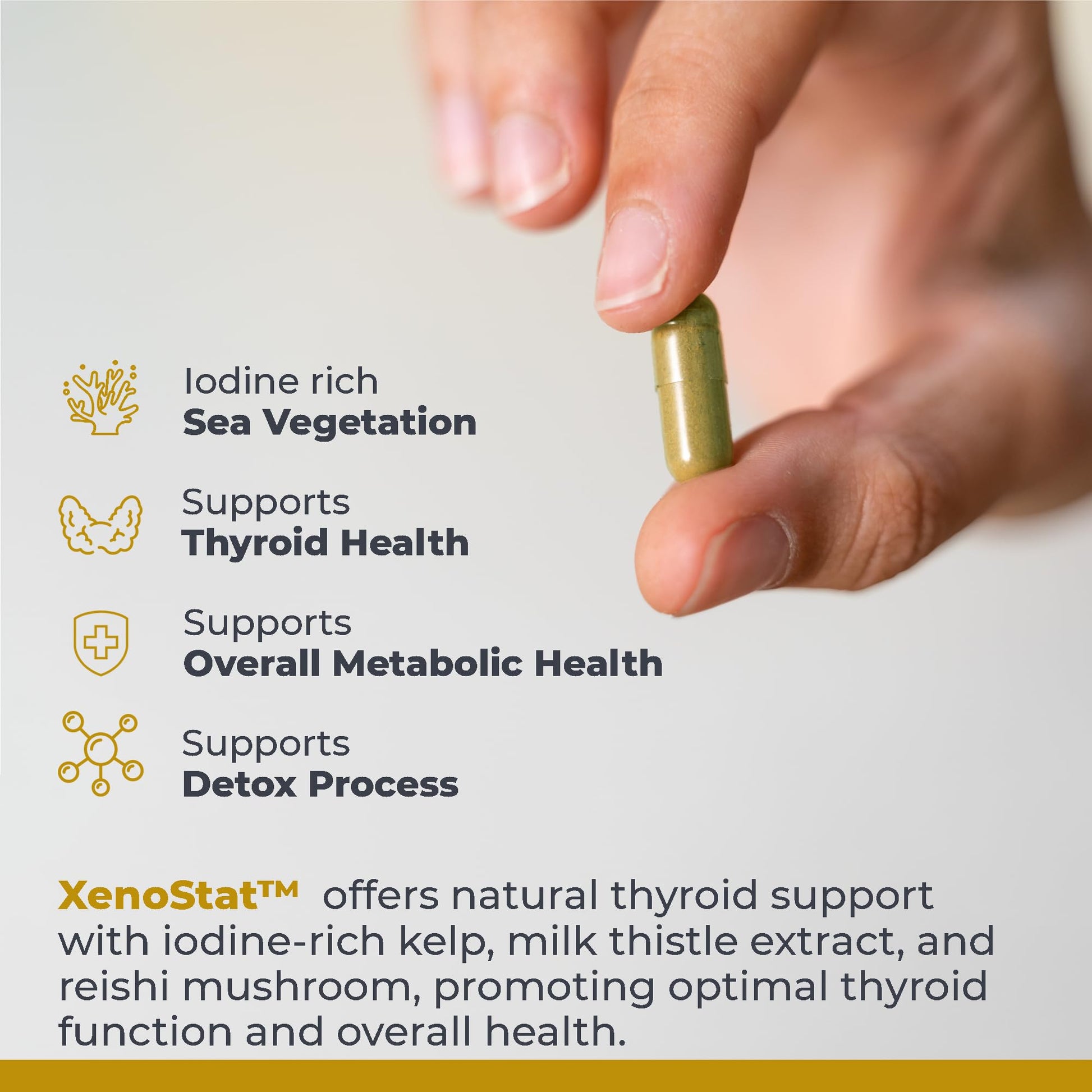 Premier Research Labs XenoStat - Thyroid Supplement, Thyroid Support for Women & Men, Iodine Supplement, Hormone Support, Thyroid Support Complex Supplement - 90 Capsules Premier Research Labs Au supplements