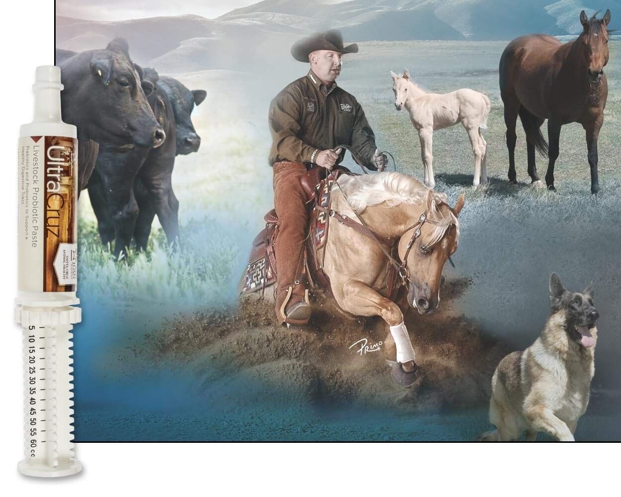 60 ml, Paste, 4 Day Supply UltraCruz Au supplements
