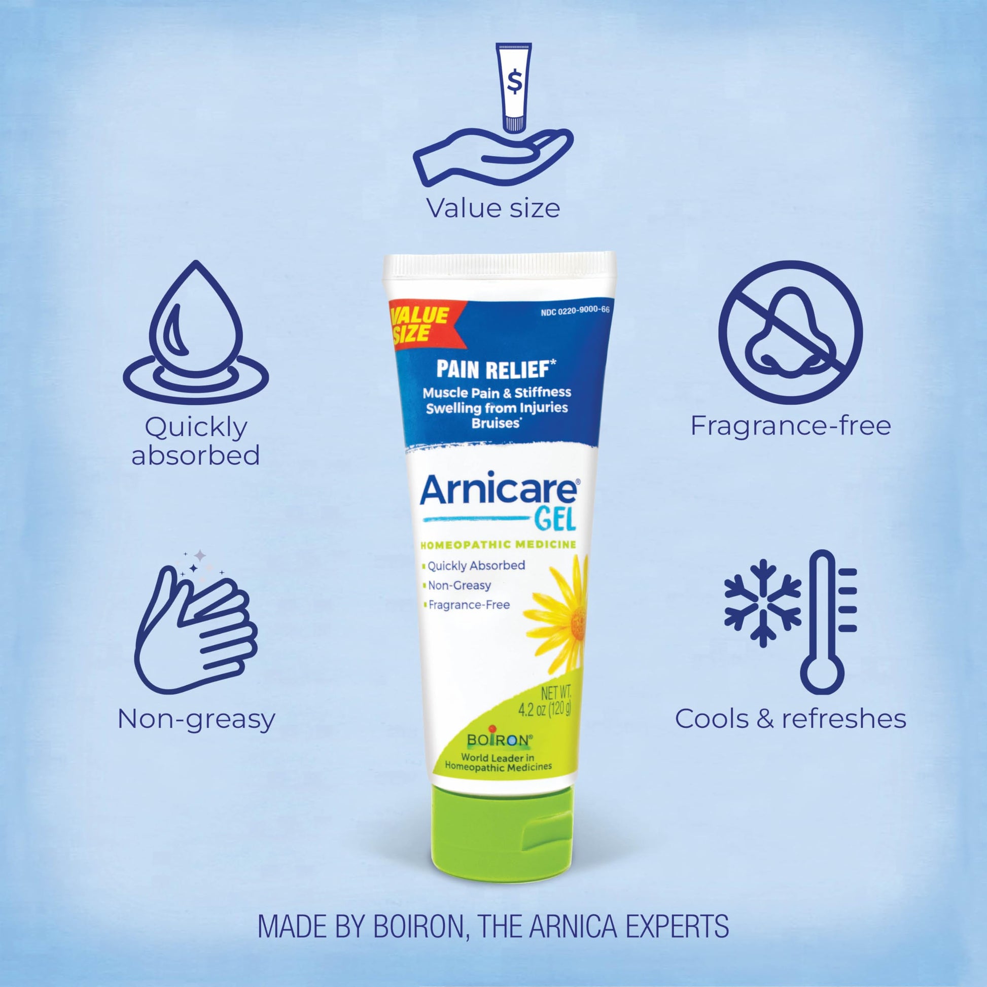 Boiron Arnicare Gel for Relief of Joint Pain, Muscle Pain, Muscle Soreness, and Swelling from Bruises or Injury - Non-greasy and Fragrance-Free - 4.2 oz Boiron Au supplements