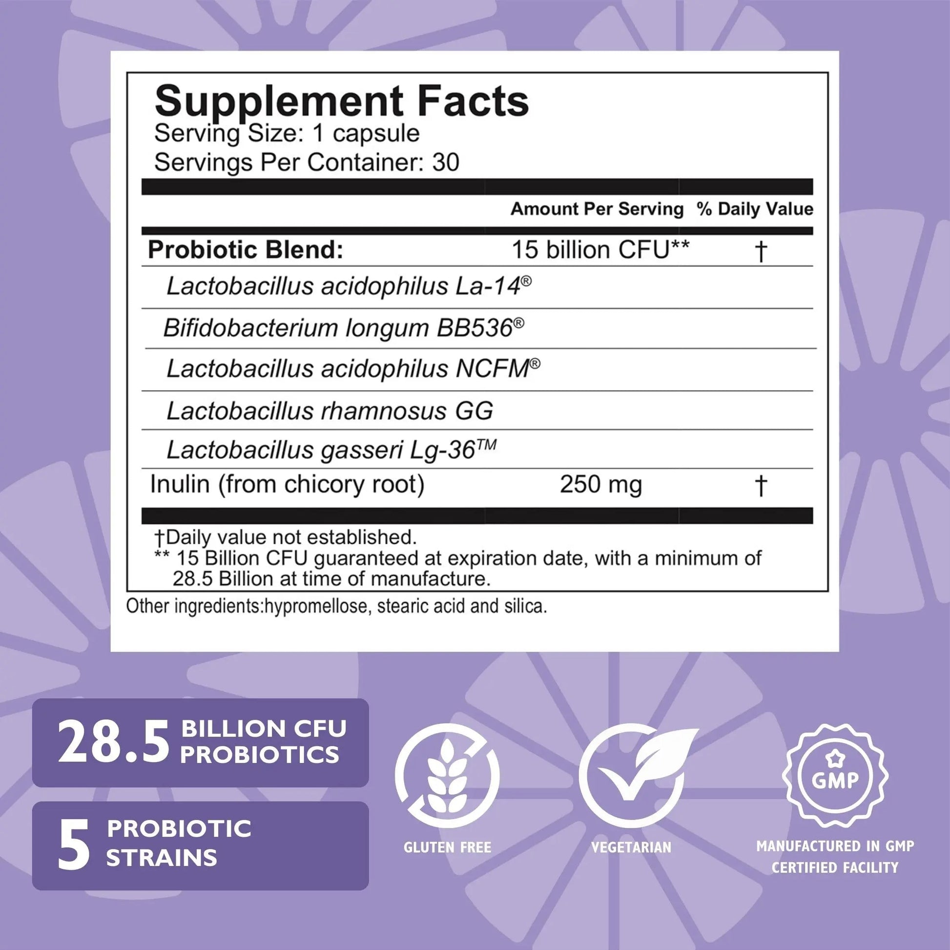 Celebrate Bariatric Essentials Bundle – CelebrateONE Multivitamin, Iron with Vitamin C Chewables, & Balance Probiotic + Prebiotic – Complete Nutritional & Digestive Support for WLS Patients Celebrate Bariatric Supplements Au supplements