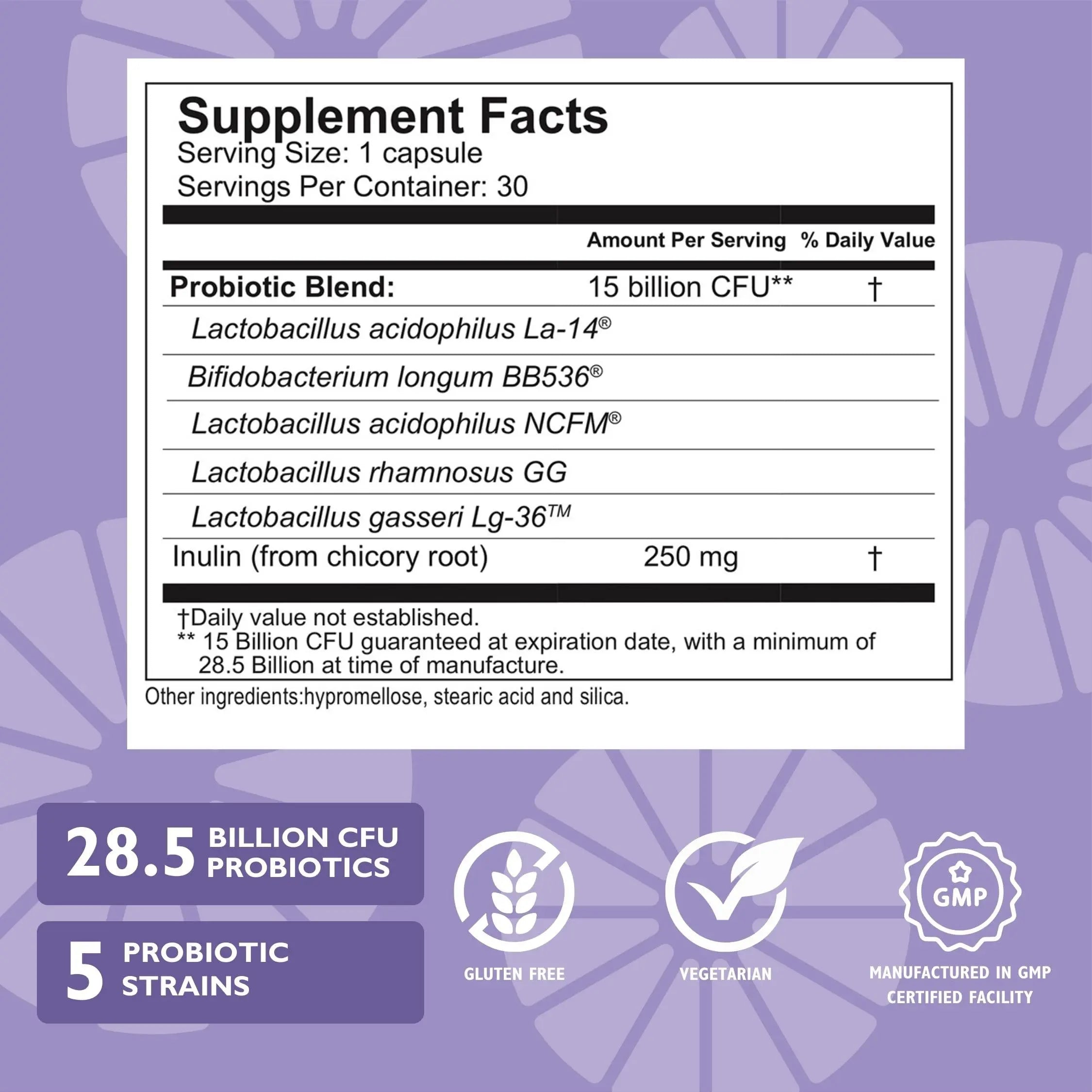 Celebrate Bariatric Essentials Bundle – CelebrateONE Multivitamin, Iron with Vitamin C Chewables, & Balance Probiotic + Prebiotic – Complete Nutritional & Digestive Support for WLS Patients Celebrate Bariatric Supplements Au supplements