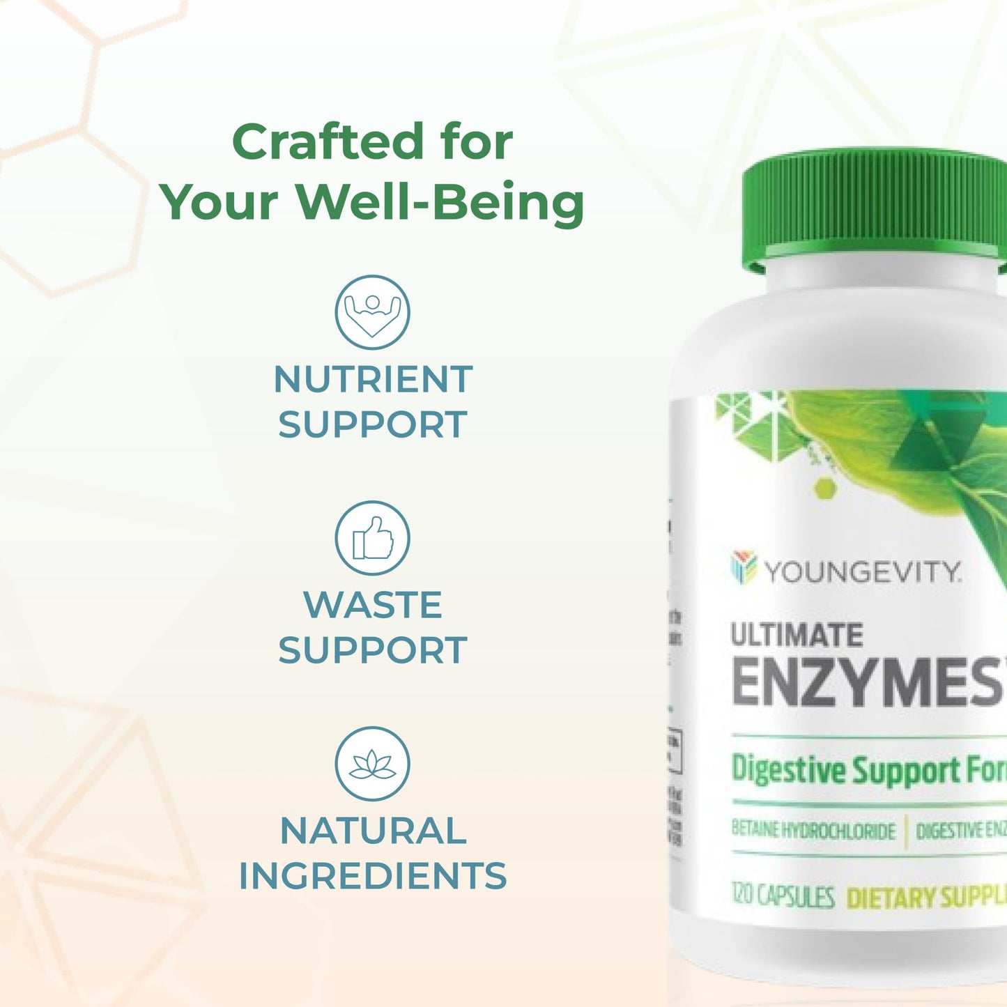 Youngevity Ultimate Enzymes® - Multi Enzymes for Digestion, Gas & Bloating Relief - Betaine HCl, Ox Bile, Pancreatine 10X, Papain 6M, Pepsin 1:3000 (120 Capsules) YoungevityUS supplements