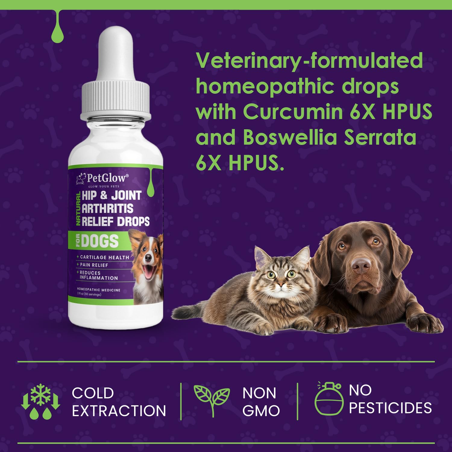 Petglow® Natural Hip & Joint Arthritis Relief Drops with Curcumin & Boswellia, Homeopathic Anti-Inflammatory Formula for Dogs, Cats & Horses, Supports Flexibility, Comfort & Mobility Naturally PetglowAu supplements