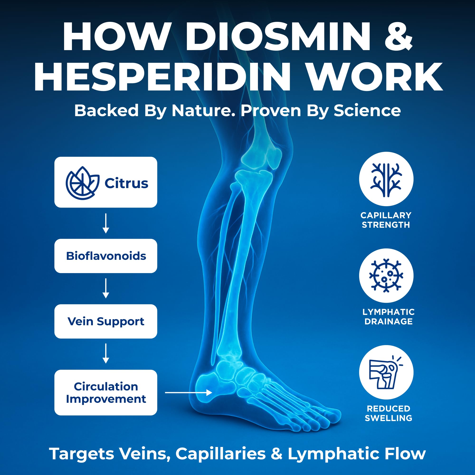 We Like Vitamins Diosmin Hesperidin 1000mg – 180 Capsules – 90 Day Supply - Diosmin and Hesperidin Supplement – Helps to Support Healthy Circulation, Veins, Capillaries, and Lymphatic Drainage We Like Vitamins Au supplements
