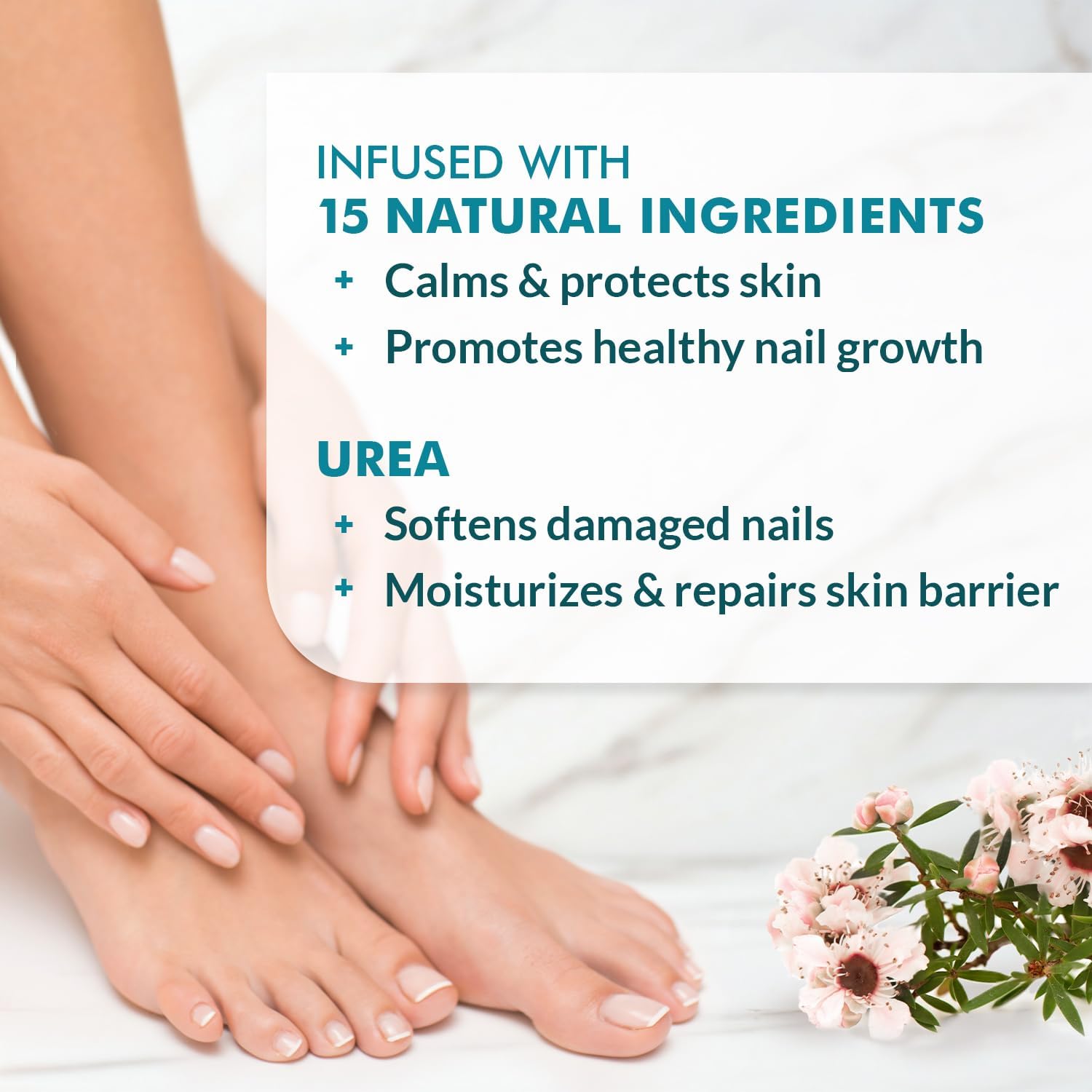 Ebanel Antifungal Cream Miconazole Athletes Foot Treatment, Cures Fungal Infection Leading to Nail Fungus, Jock Itch Cream with Undecylenic Acid, Tea Tree & Manuka Oil, Fast Itch Relief for Ringworm Ebanel buy supplements Au