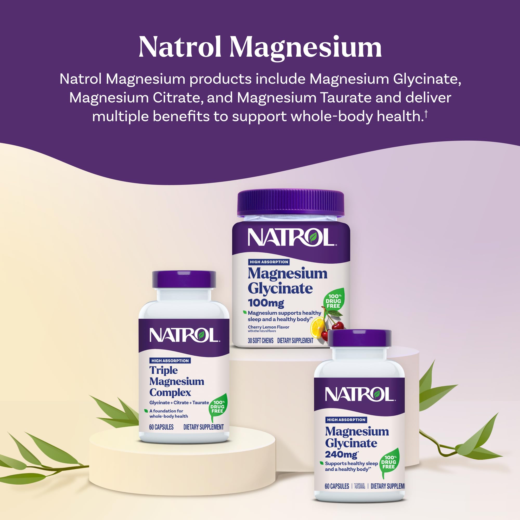 Natrol Triple Magnesium Complex Supplement, Glycinate, Citrate & Taurate 200mg High Absorption, Support Whole Body Wellness, 60 Capsules Natrol Au supplements