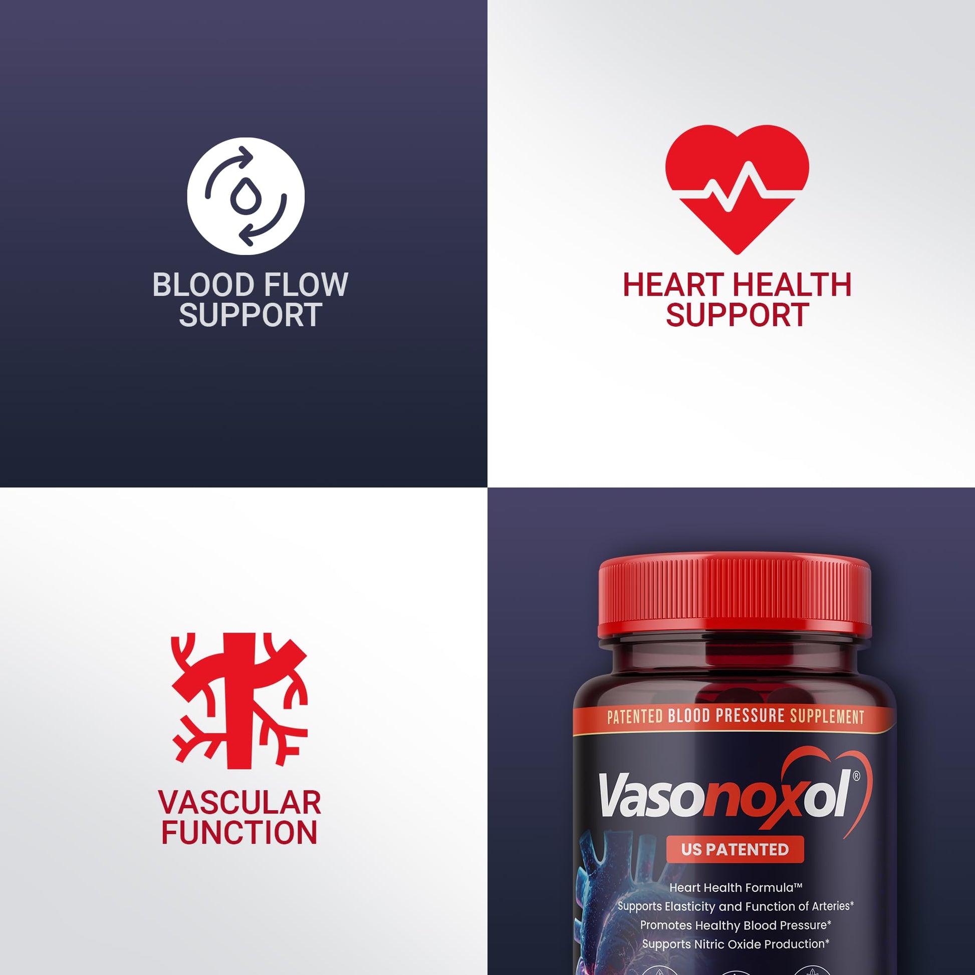 Vasonoxol U.S. Patented Nitric Oxide Supplement for Blood Pressure Support 2880mg - Physician Formulated Vascular Health Formula with L-Arginine & L-Citrulline - Vegan, Non-GMO (120 Capsules) Panoxol Au supplements