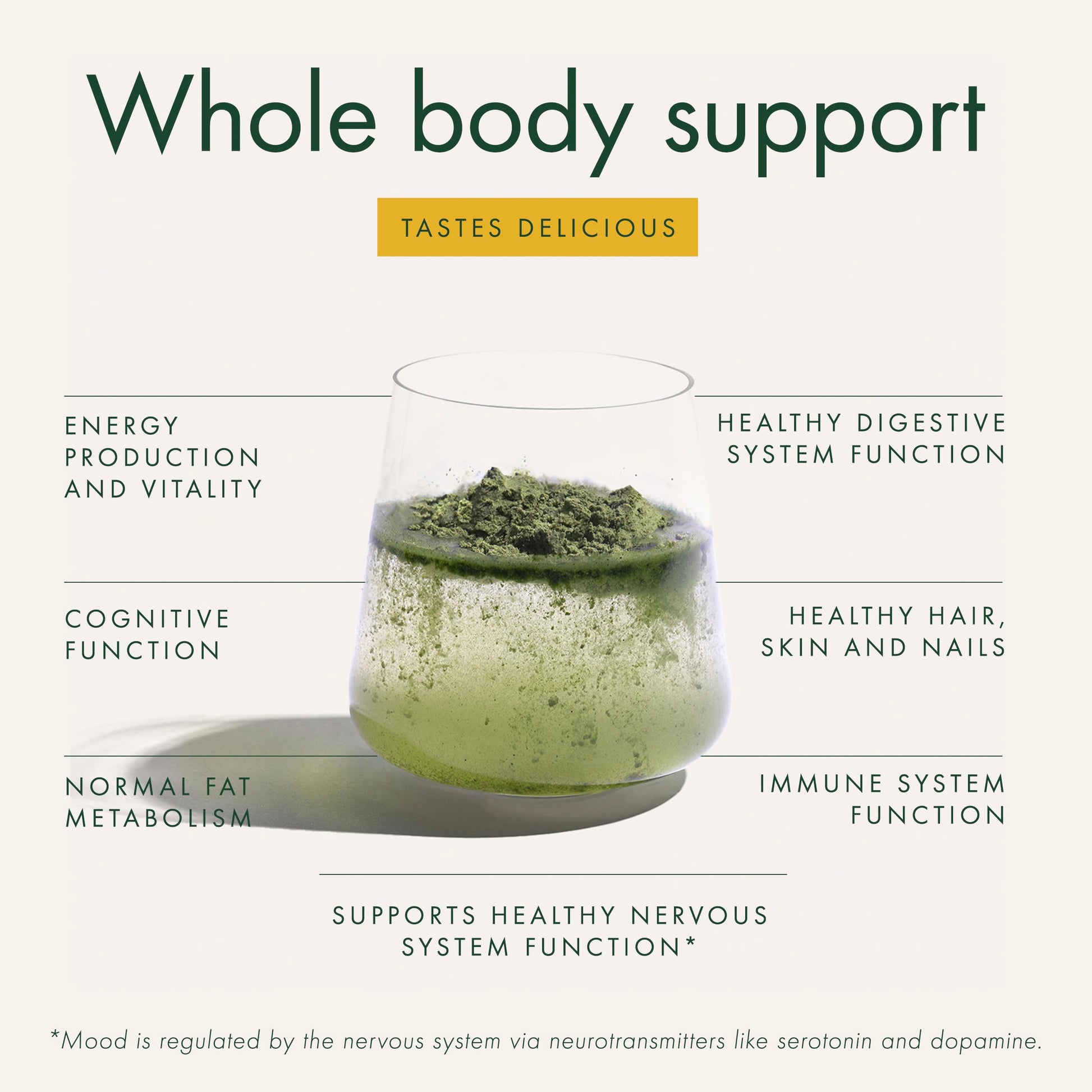 WelleCo The Super Elixir Daily Greens Powder, Probiotic Drink Mix with Whole Foods, Gluten Free, Vegan Gut Health Powder, Energy, Immunity, Healthy Skin, Hair & Nails (300g, Lemon Ginger) WelleCo Au supplements