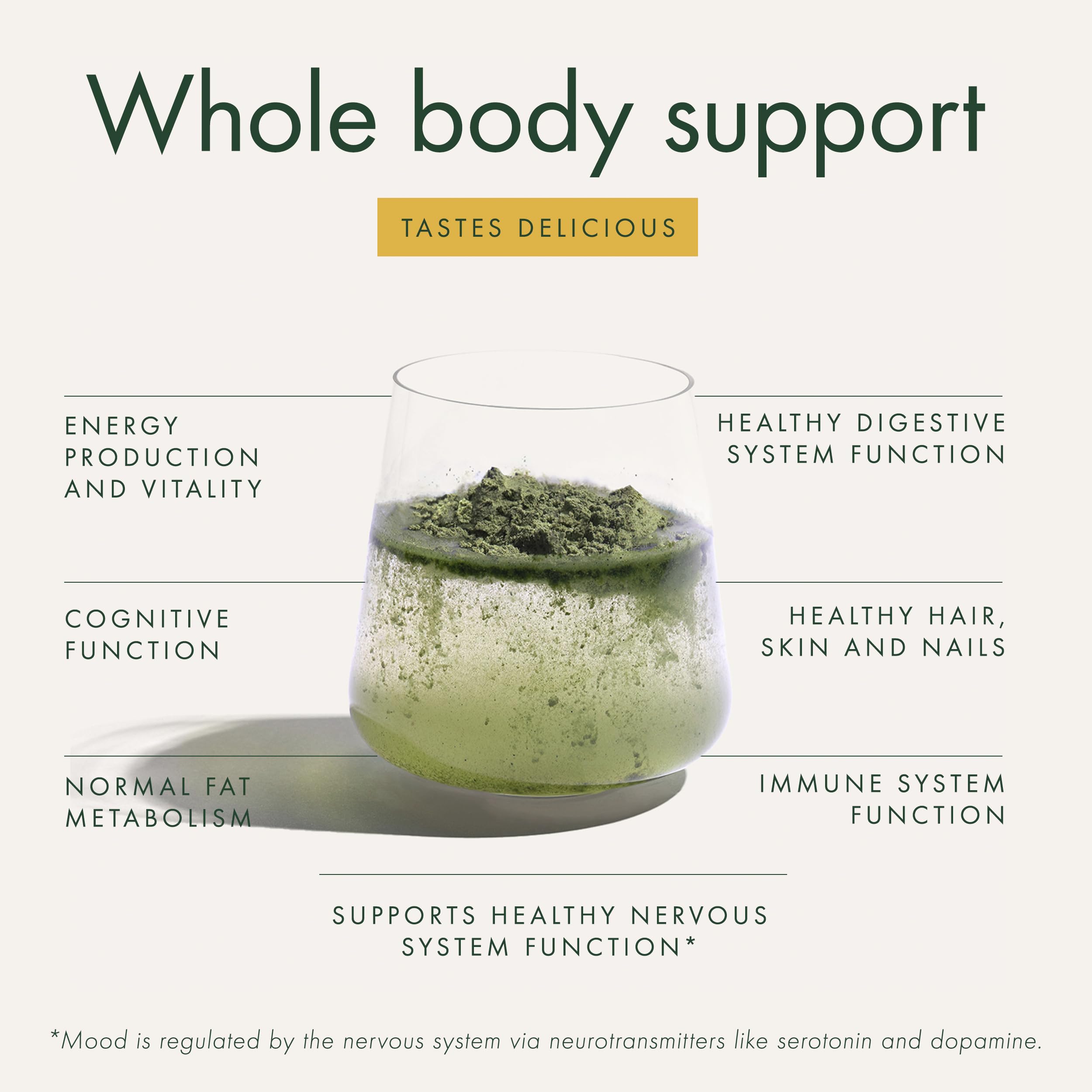 WelleCo The Super Elixir Daily Greens Powder, Probiotic Drink Mix with Whole Foods, Gluten Free, Vegan Gut Health Powder, Energy, Immunity, Healthy Skin, Hair & Nails (300g, Lemon Ginger) WelleCo Au supplements