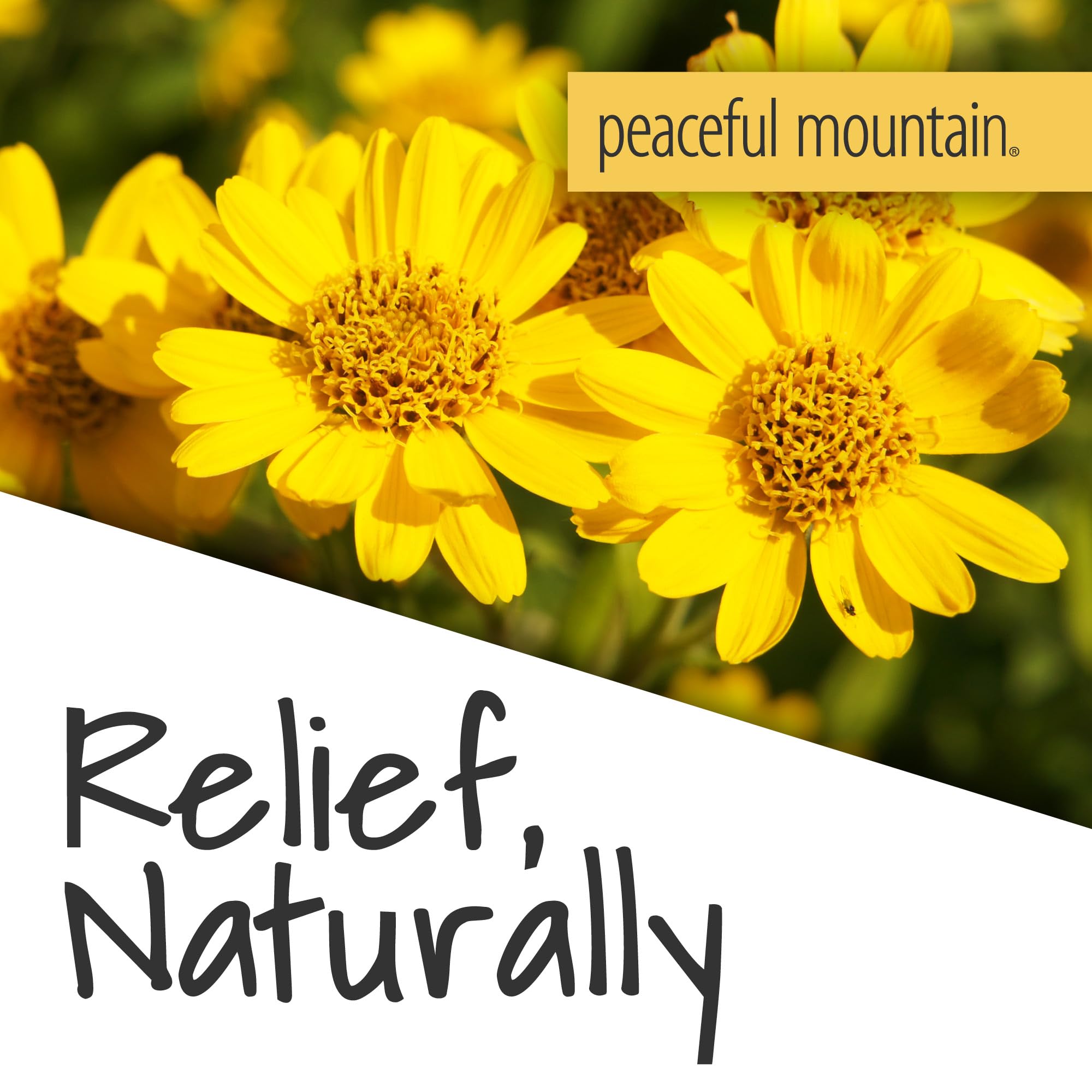 Peaceful Mountain Arnica Plus Homeopathic Gel - Natural Homeopthic Gel for Sore or cramping Muscles - 2oz Peaceful Mountain Au supplements