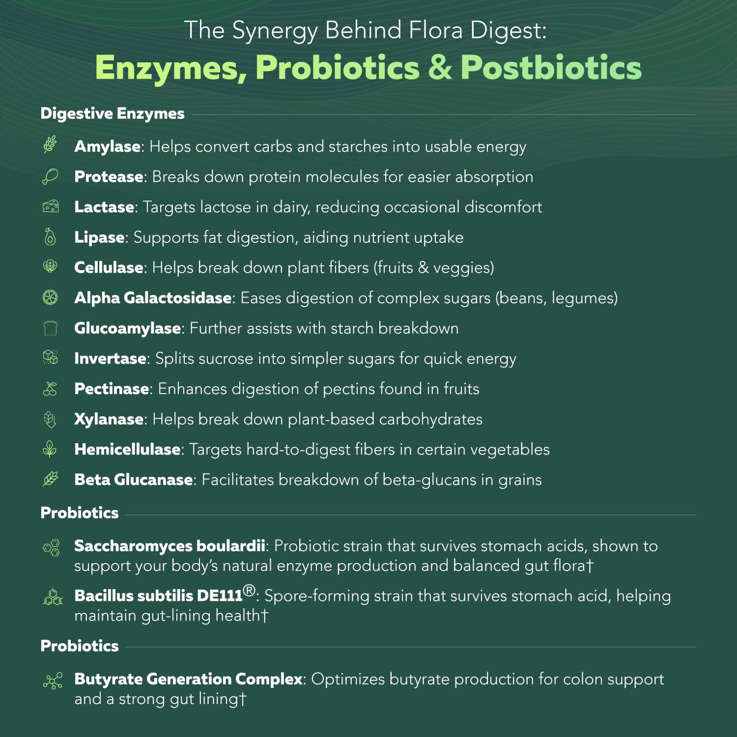 Flora Digest - 3-in-1 Max Strength Digestive Enzymes + Gut Surviving Probiotics & ButyraGen® Postbiotic for Optimal Digestion, Bloating Relief, Regularity, Gut Lining & Colon Support - (30 Capsules) Triquetra Health Au supplements