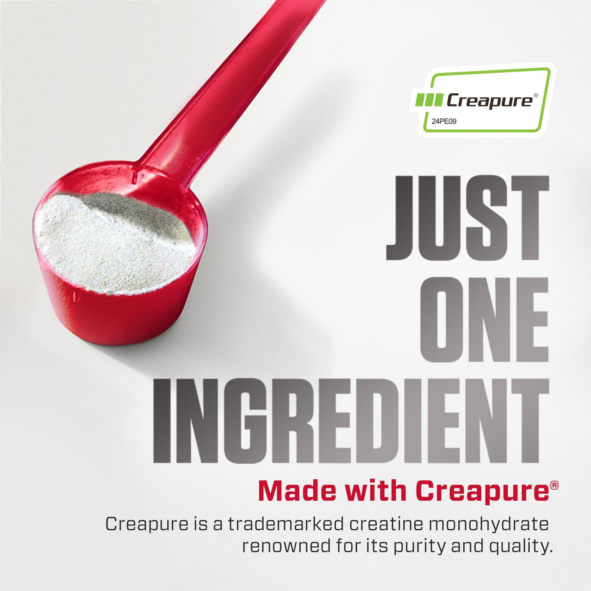 Dymatize 100% Creatine Monohydrate with Creapure, 5g Per Serving, 60 Servings (300g), Creatine for Women and Men, Gluten Free Dymatize Au supplements