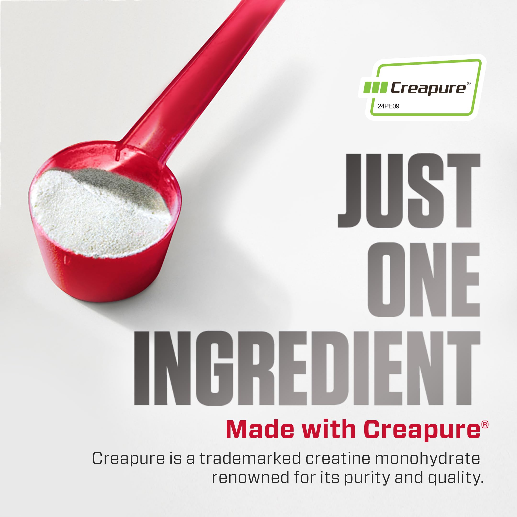 Dymatize 100% Creatine Monohydrate with Creapure, 5g Per Serving, 60 Servings (300g), Creatine for Women and Men, Gluten Free Dymatize Au supplements